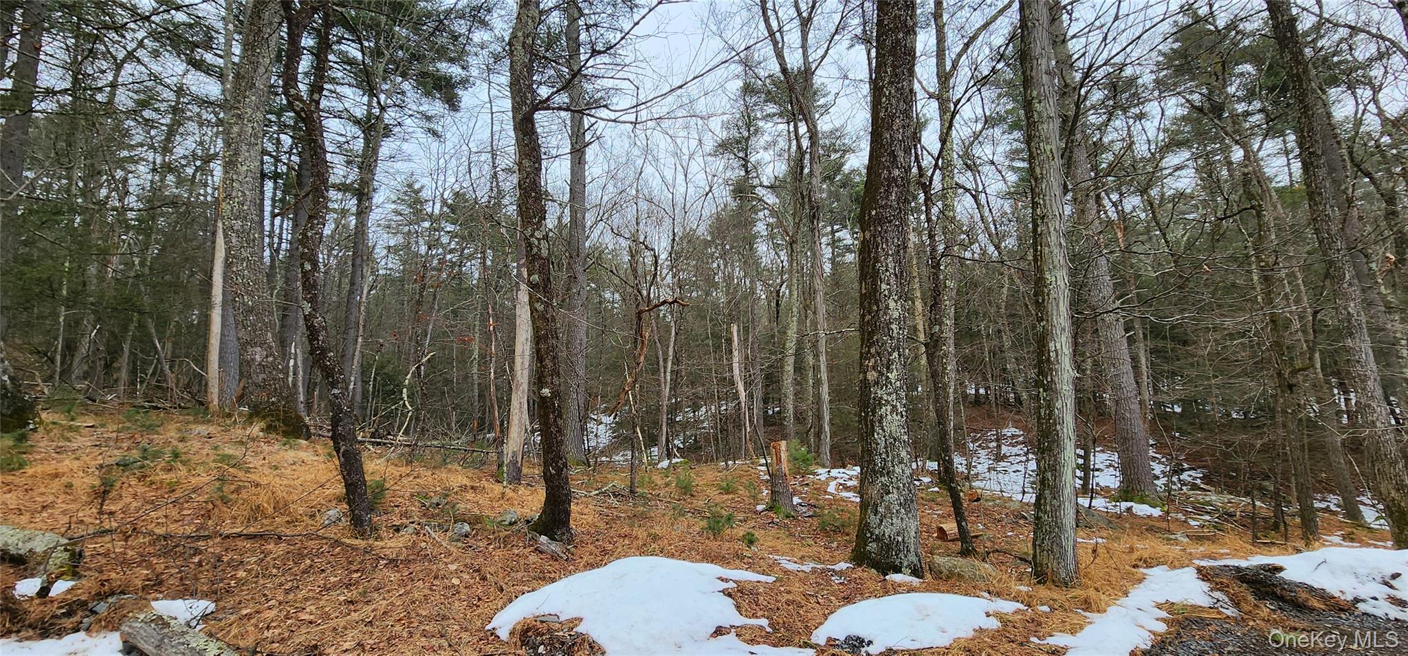 Rustic Hill Road