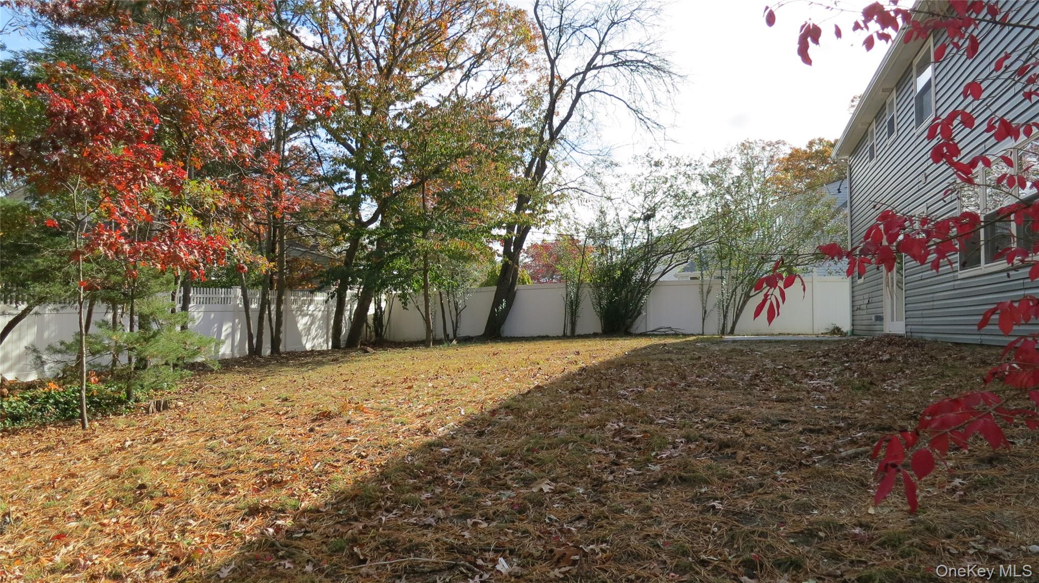 Yard