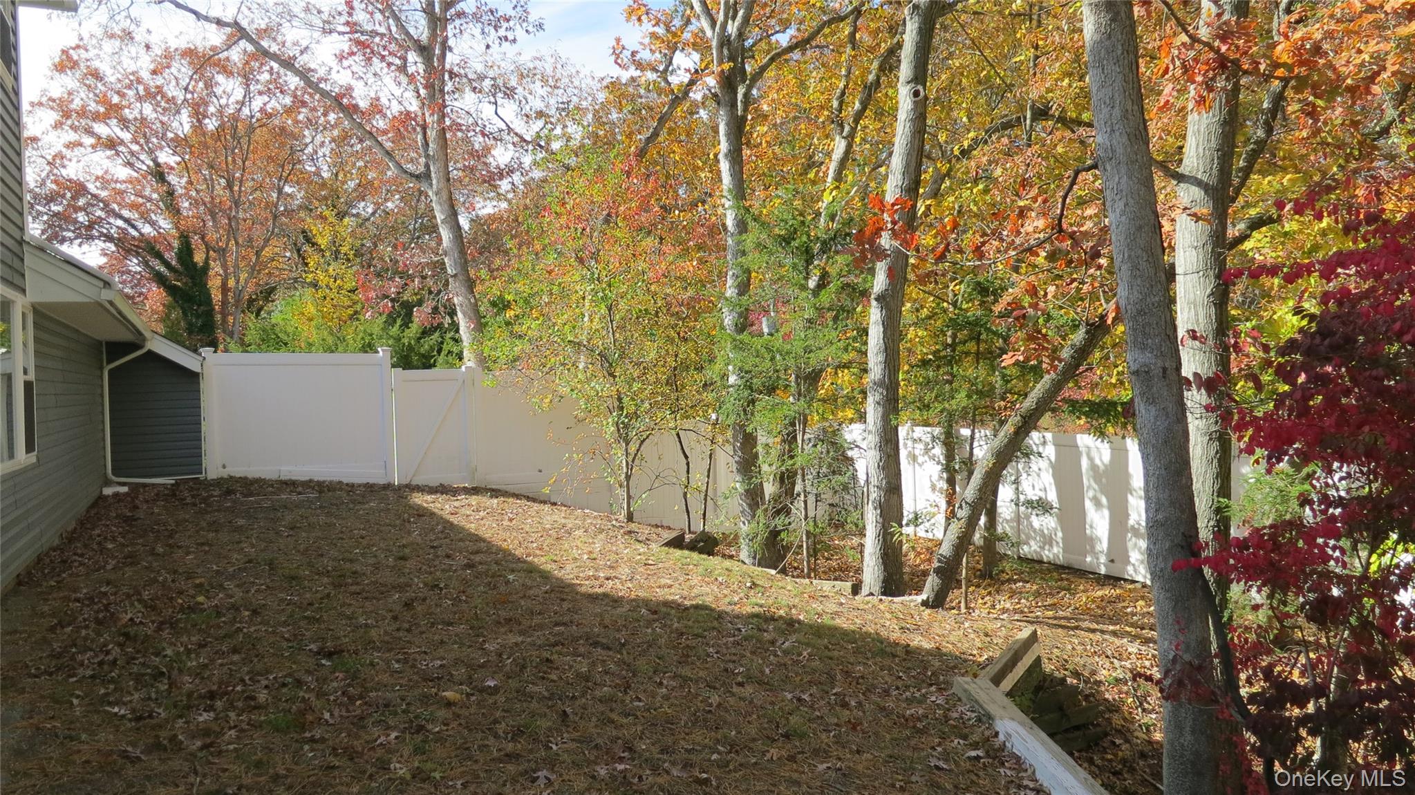 Yard