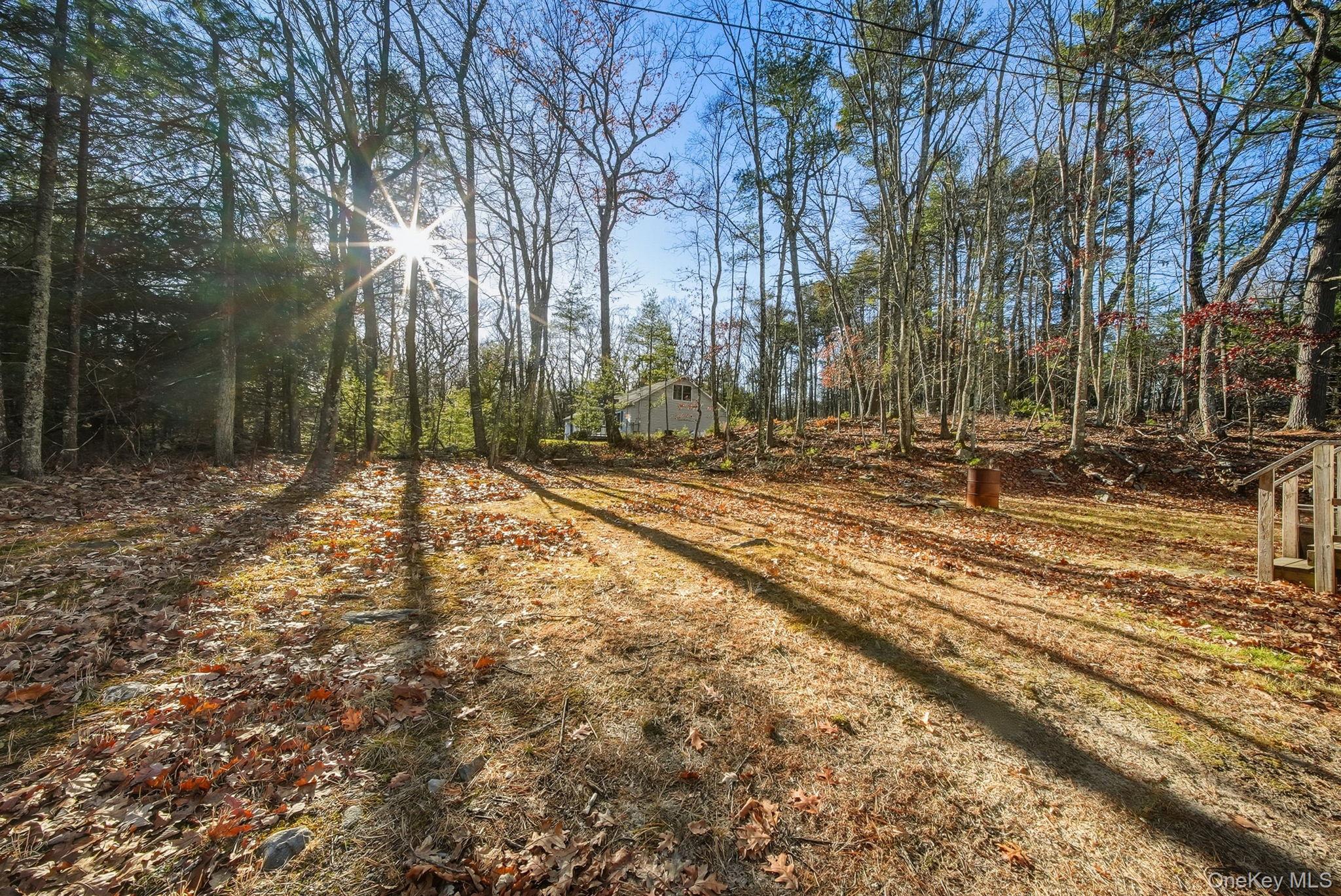 Yard