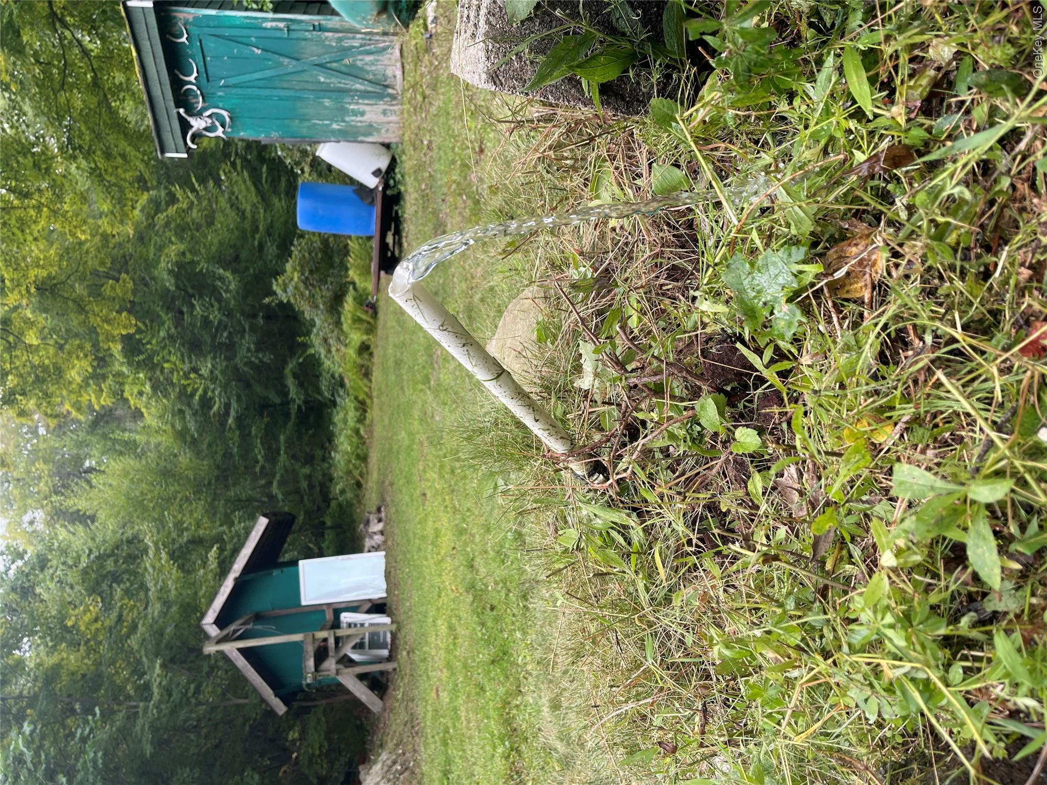 Yard