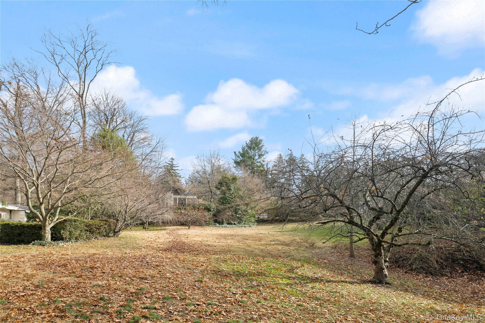 Yard