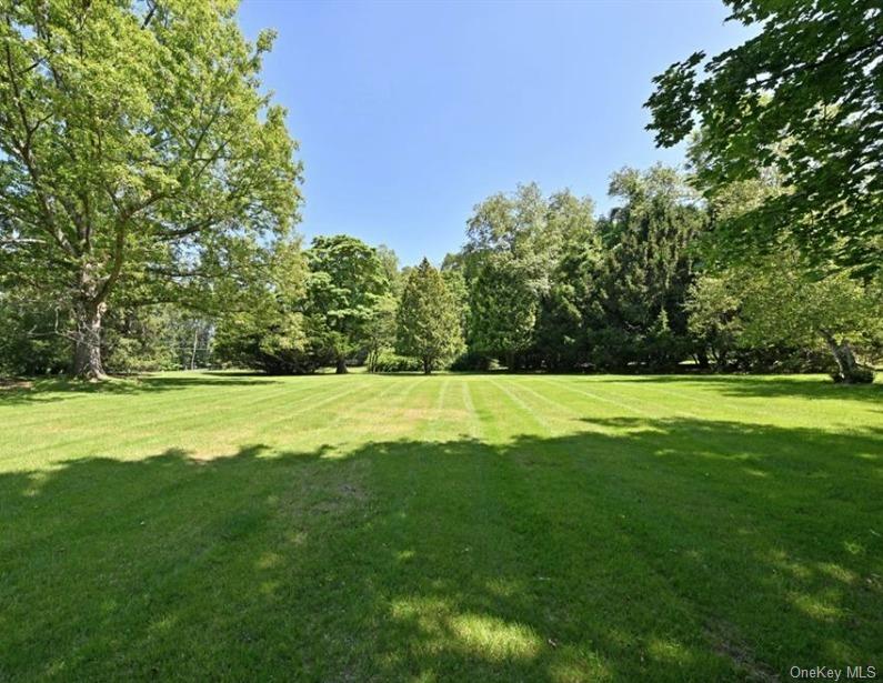 Yard