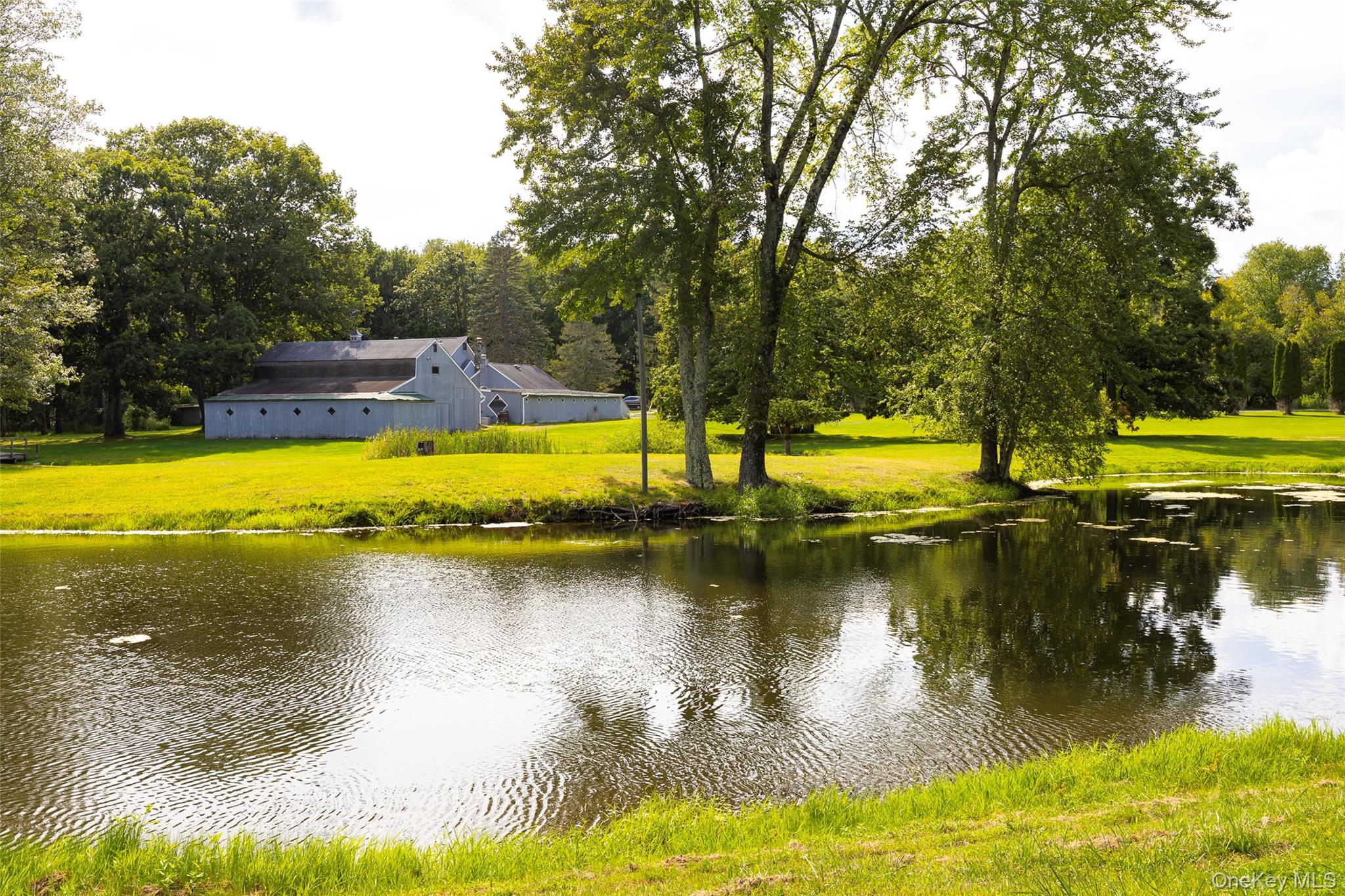 Pond