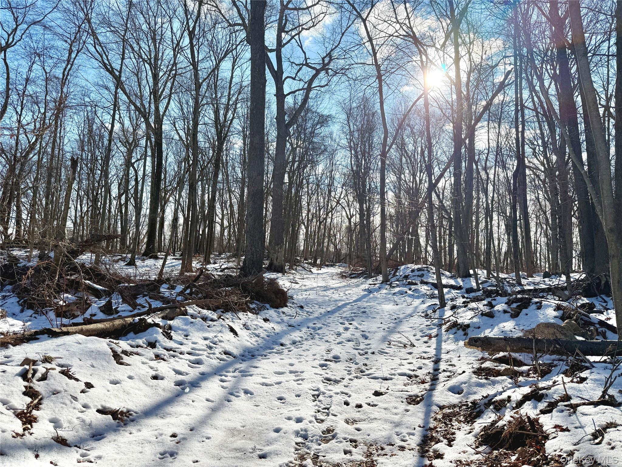 8 Maple Ridge Trail