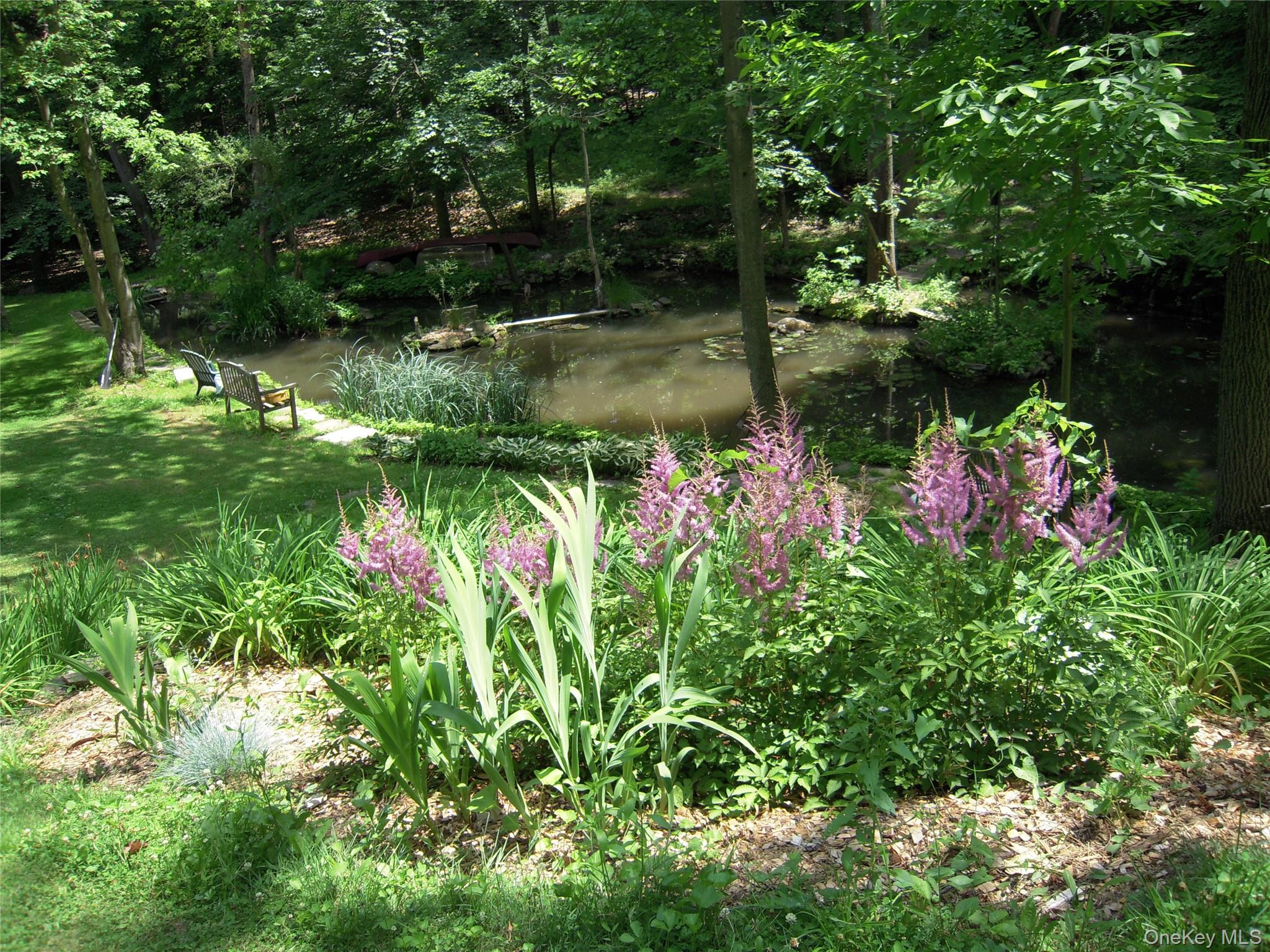 Pond