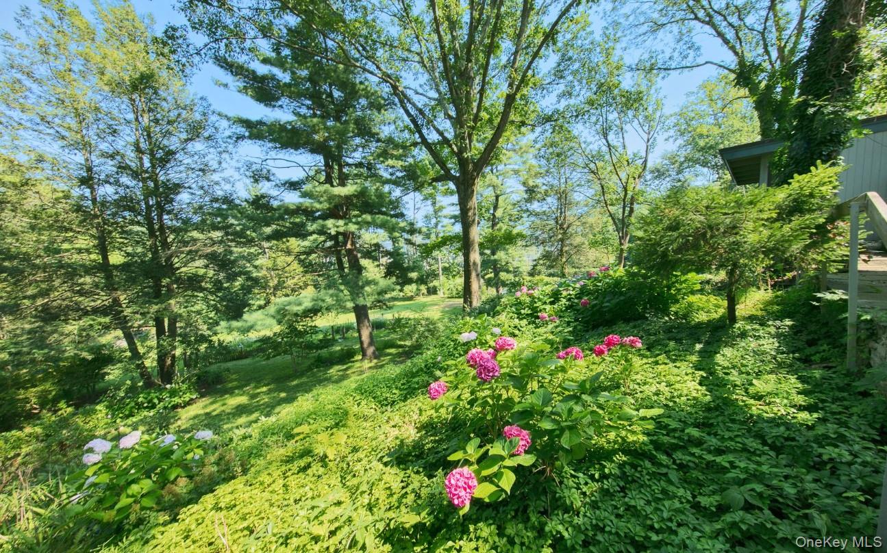 Yard