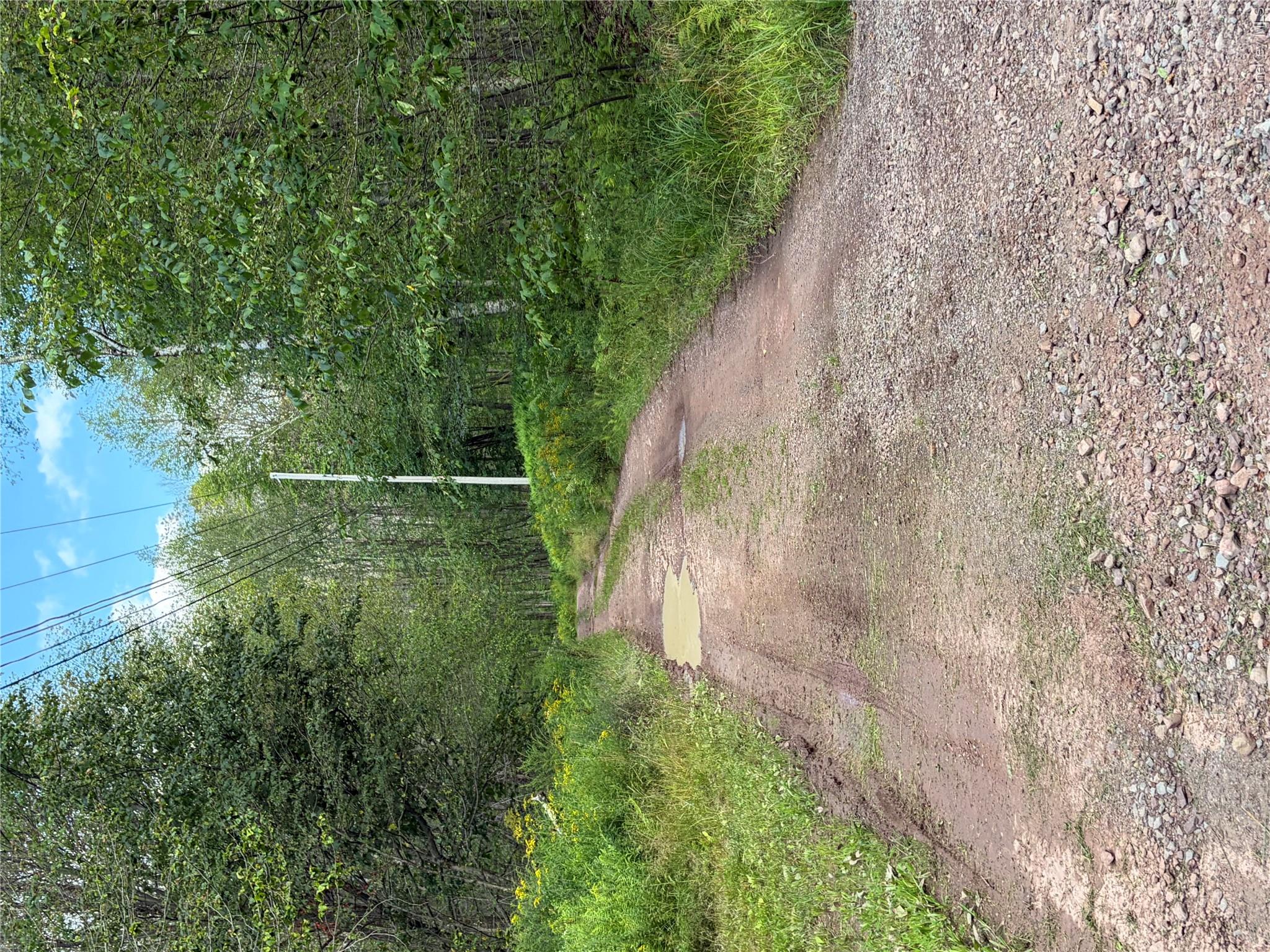 Photo 24