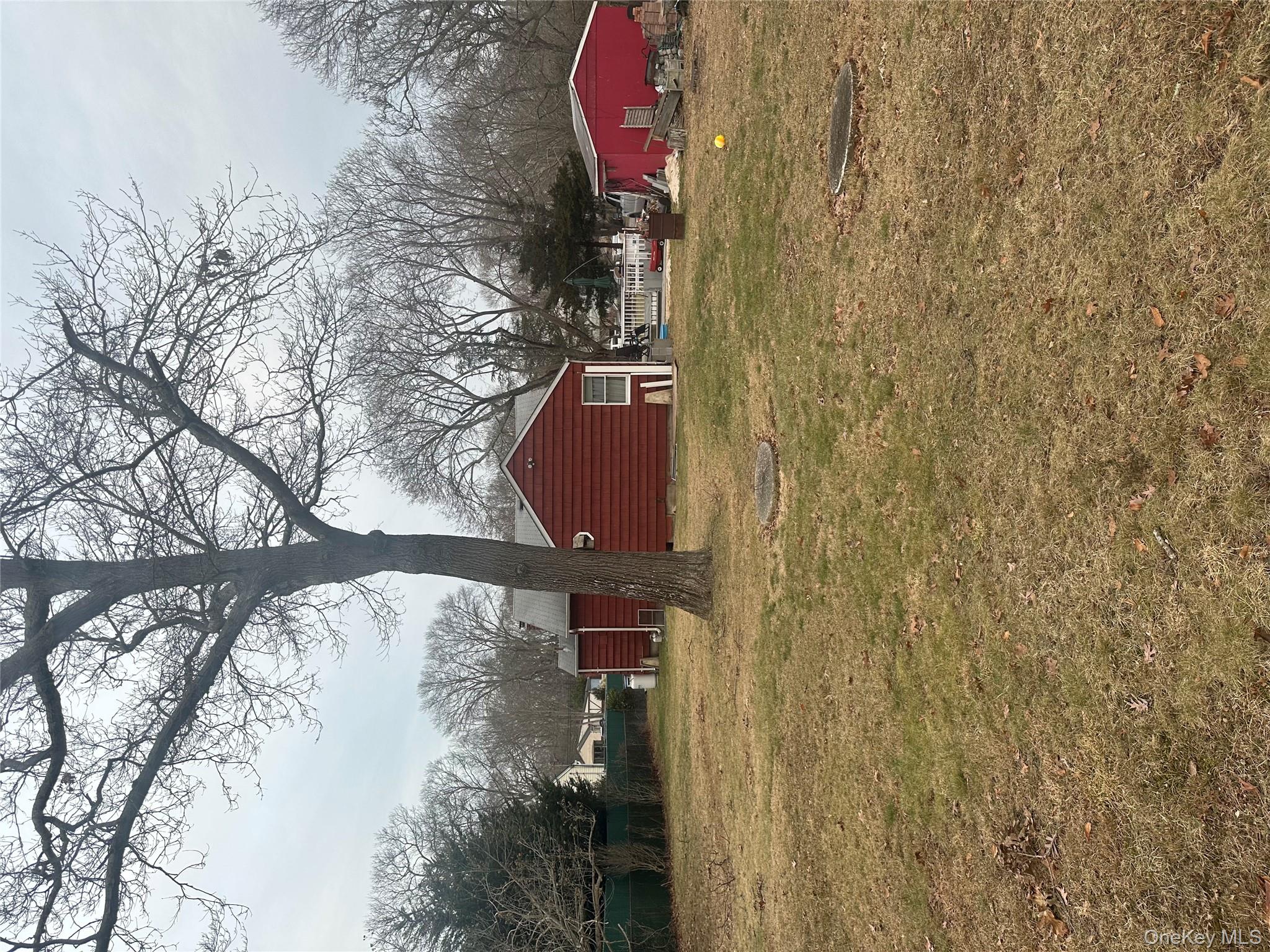 Yard