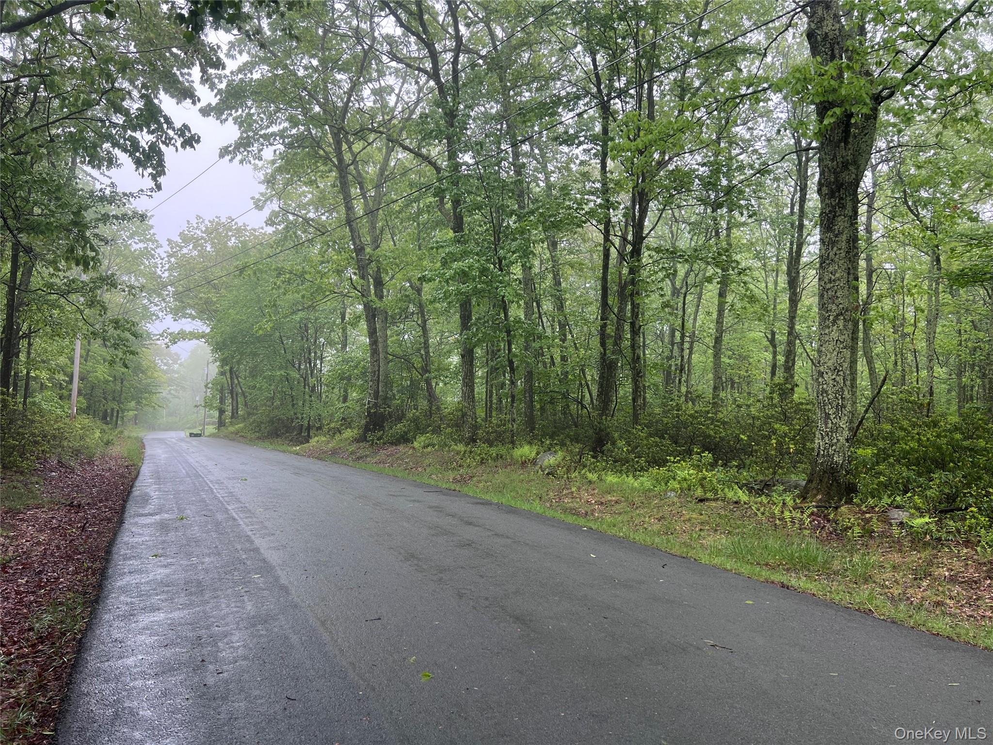 Budd Road