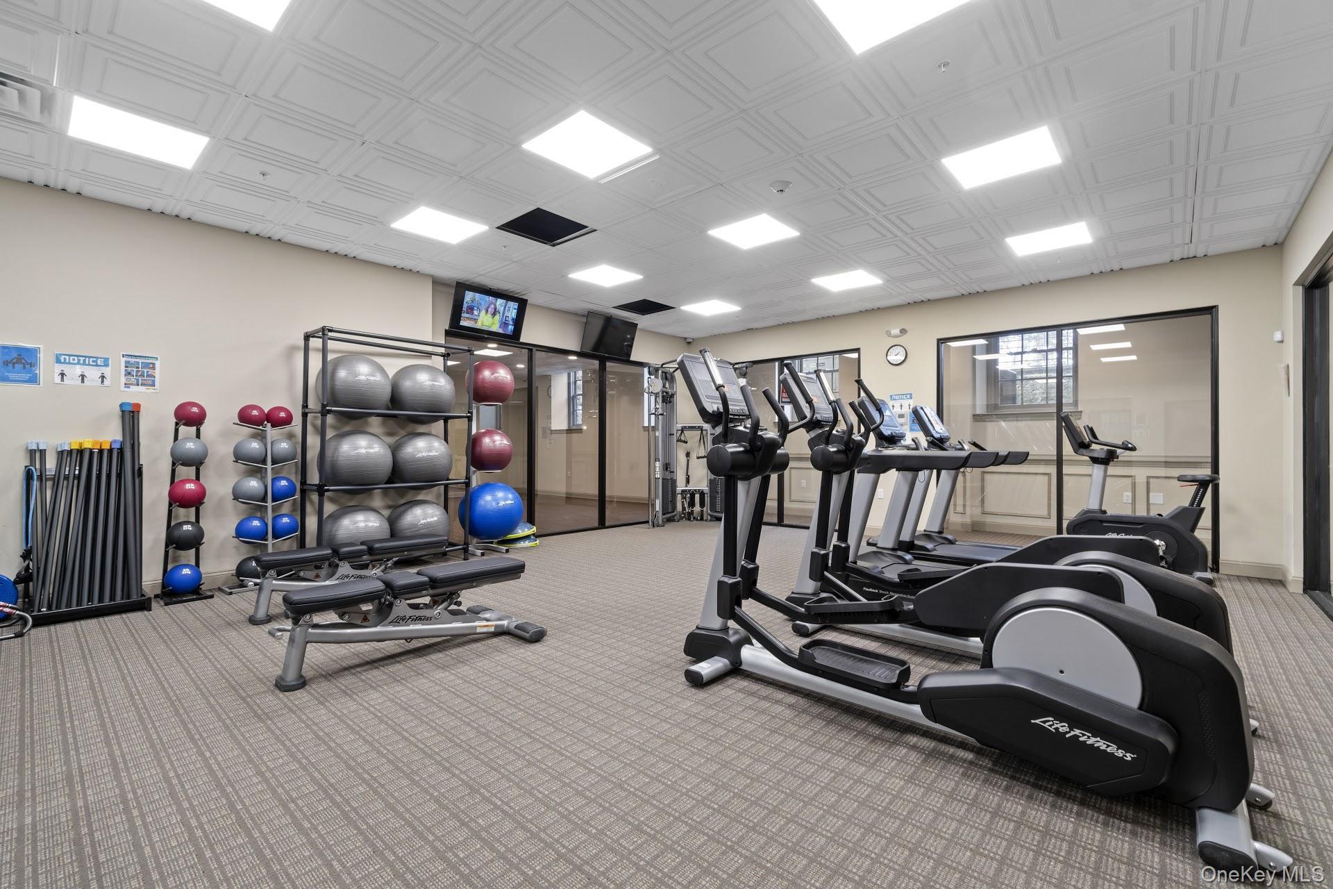 Gym