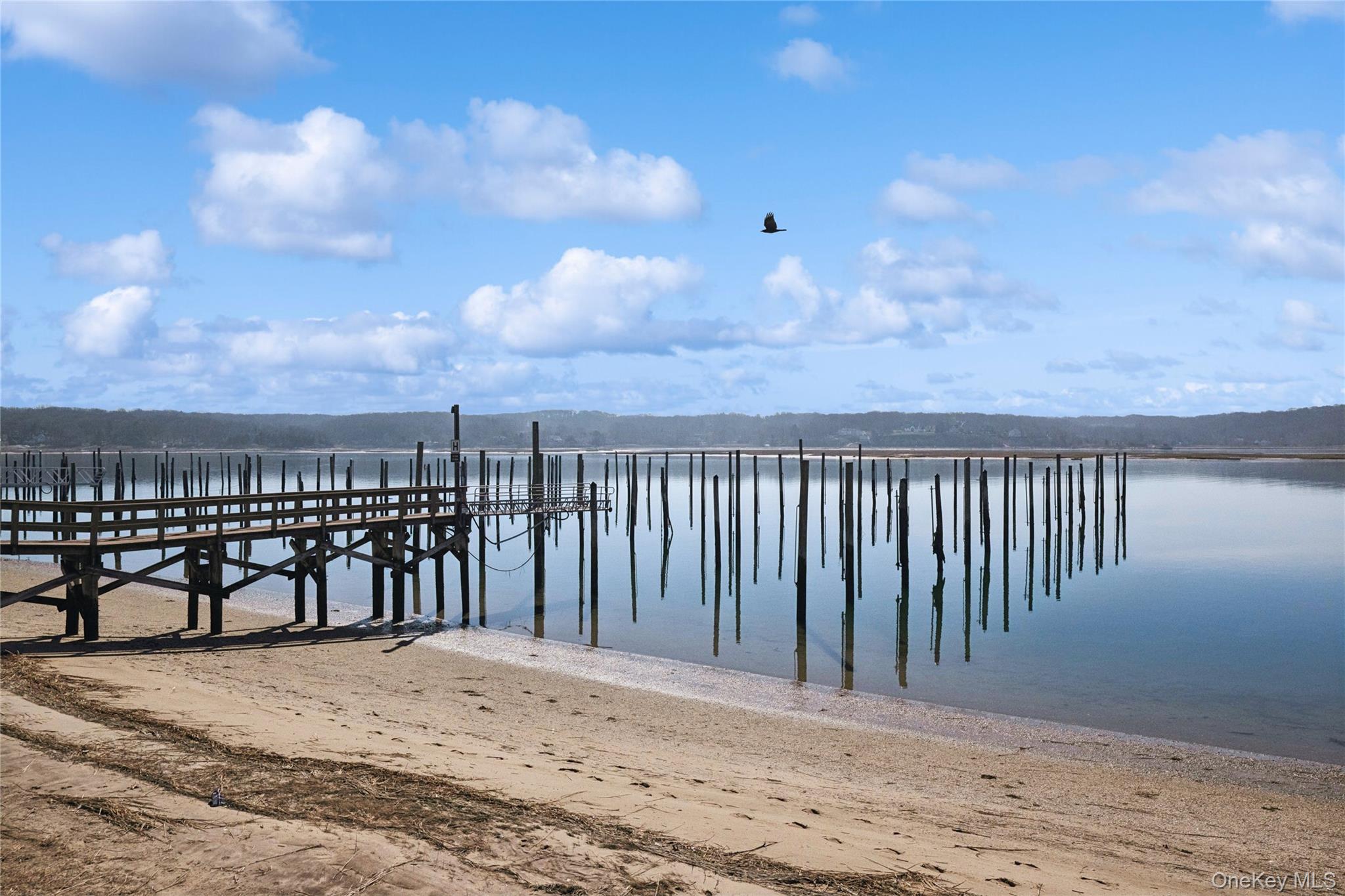 Dock