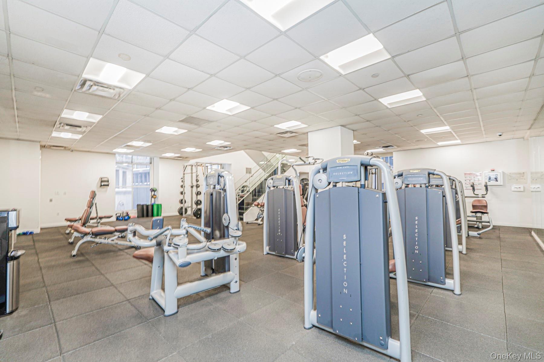Gym