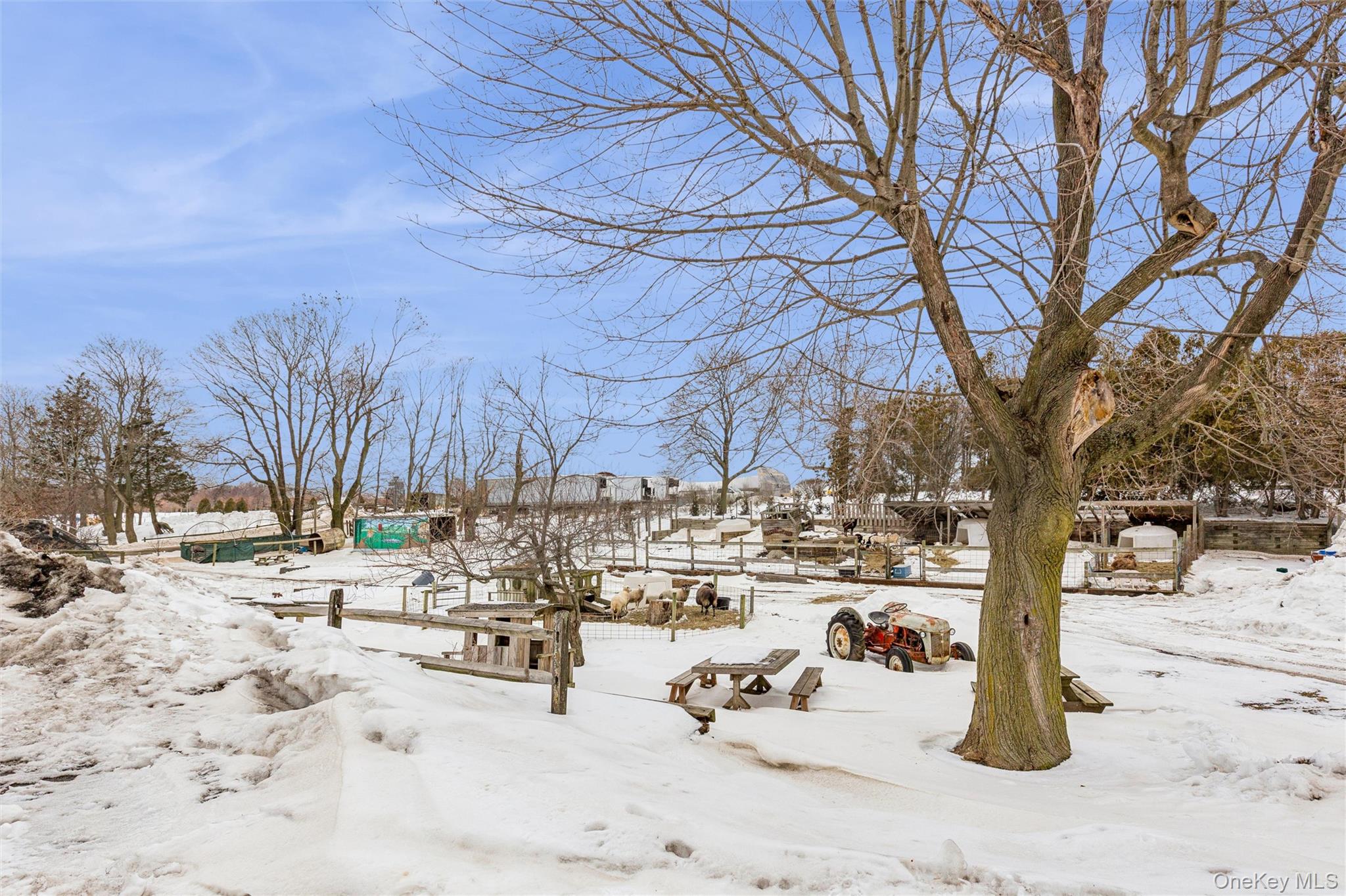 Yard