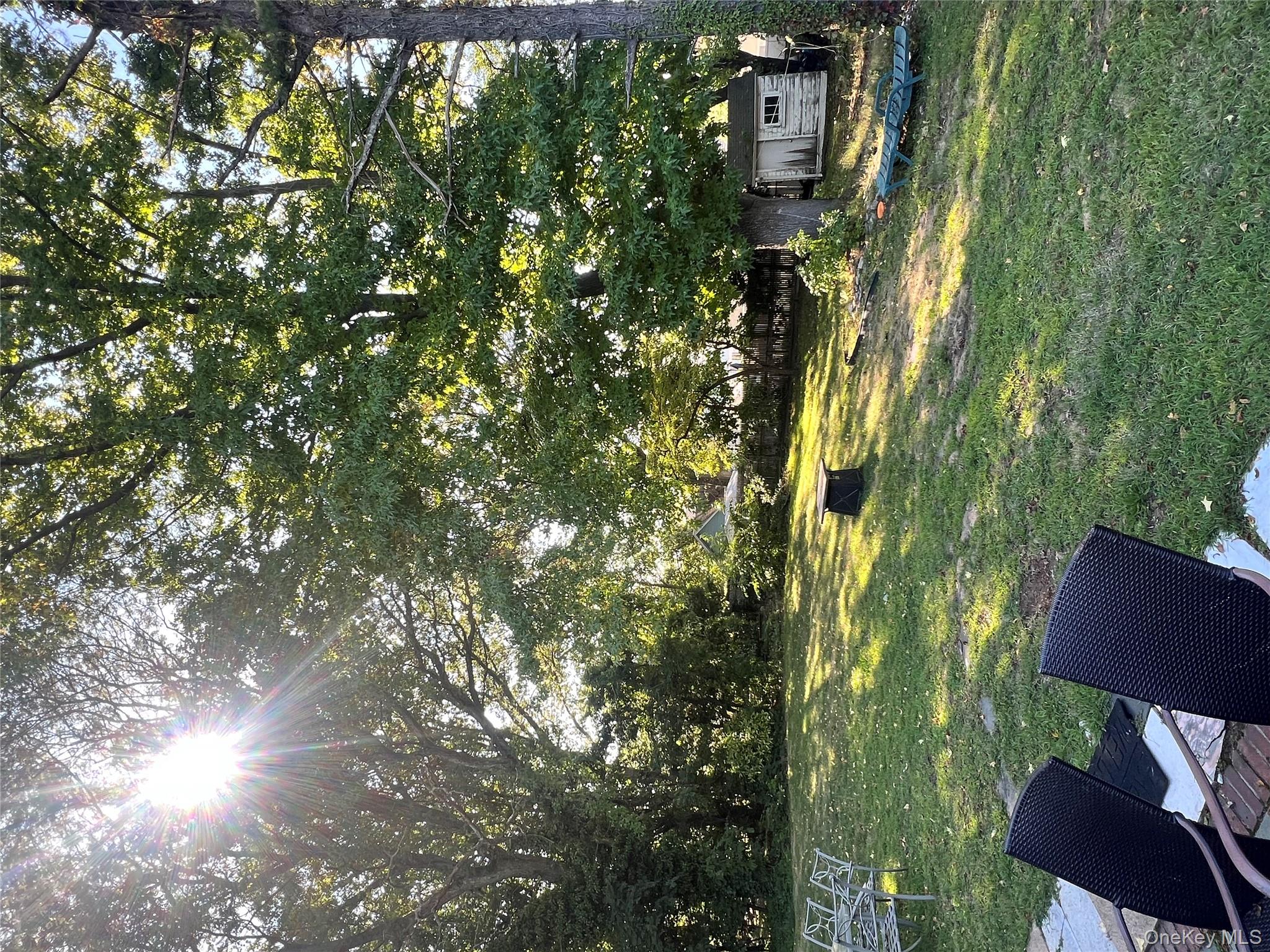 Yard