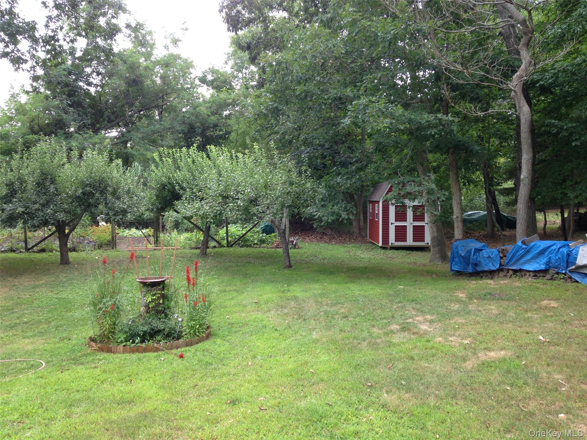 Photo 11