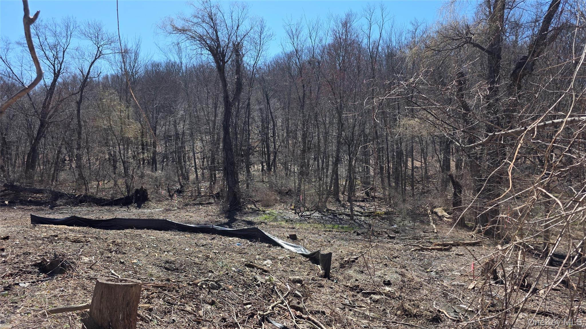 91 Barrett Hill Road