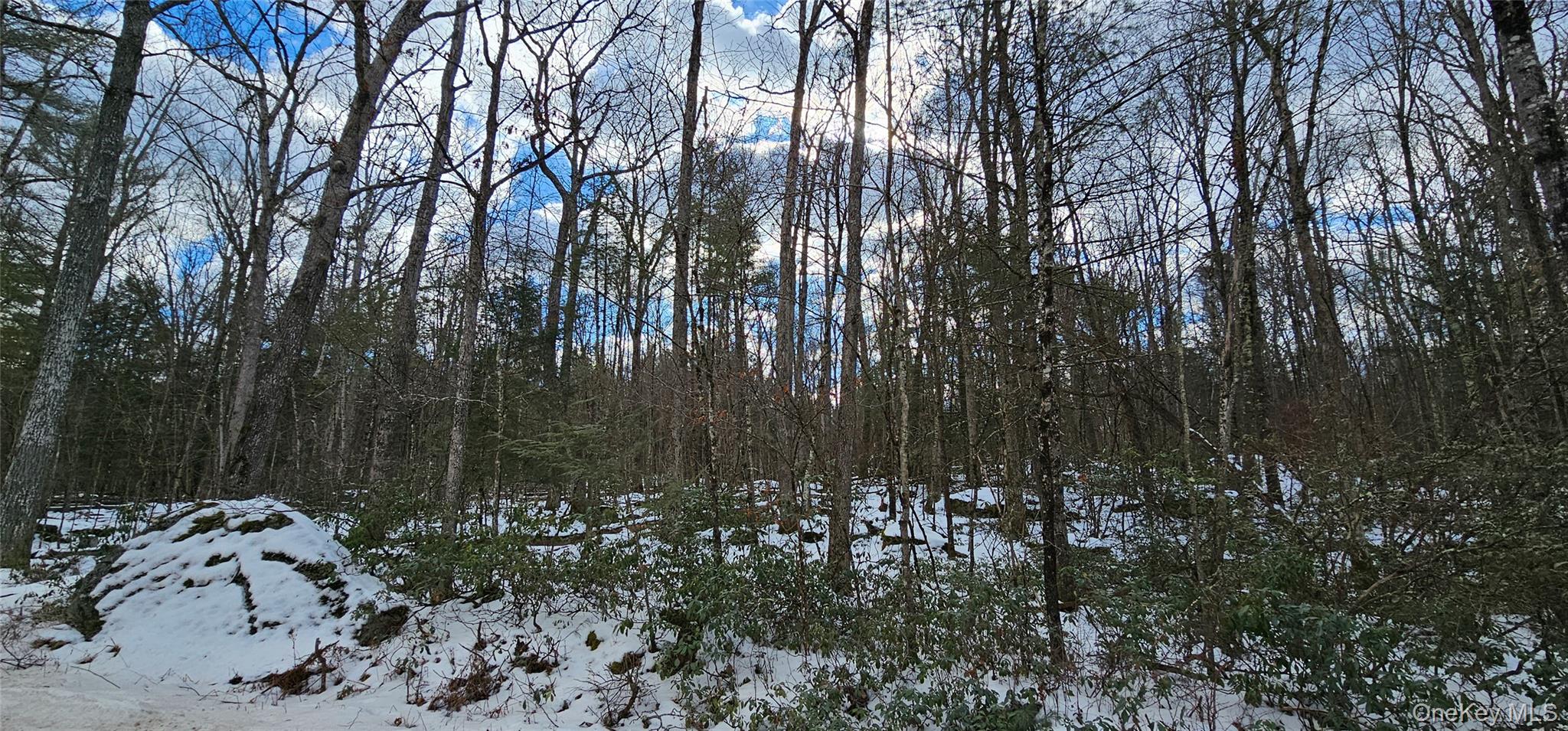 Lot 82 Perry Pond Road