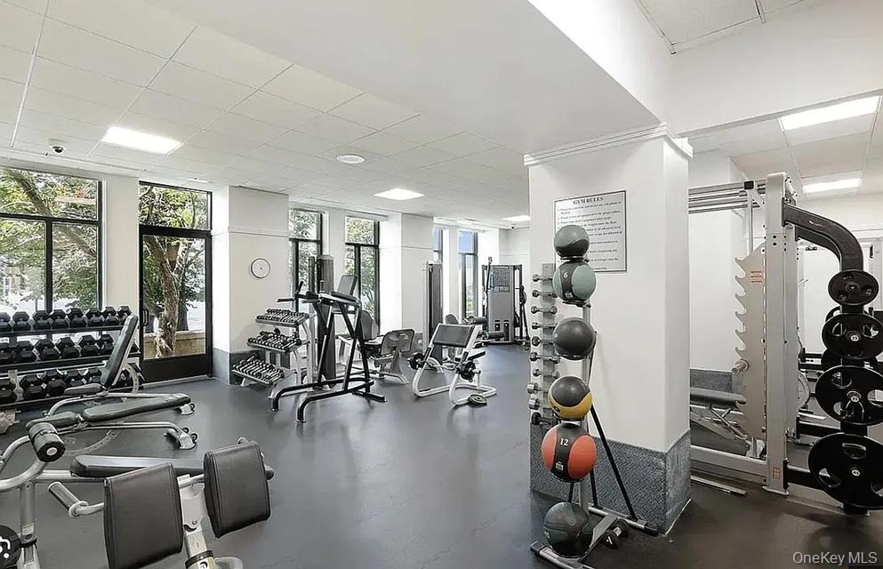 Gym