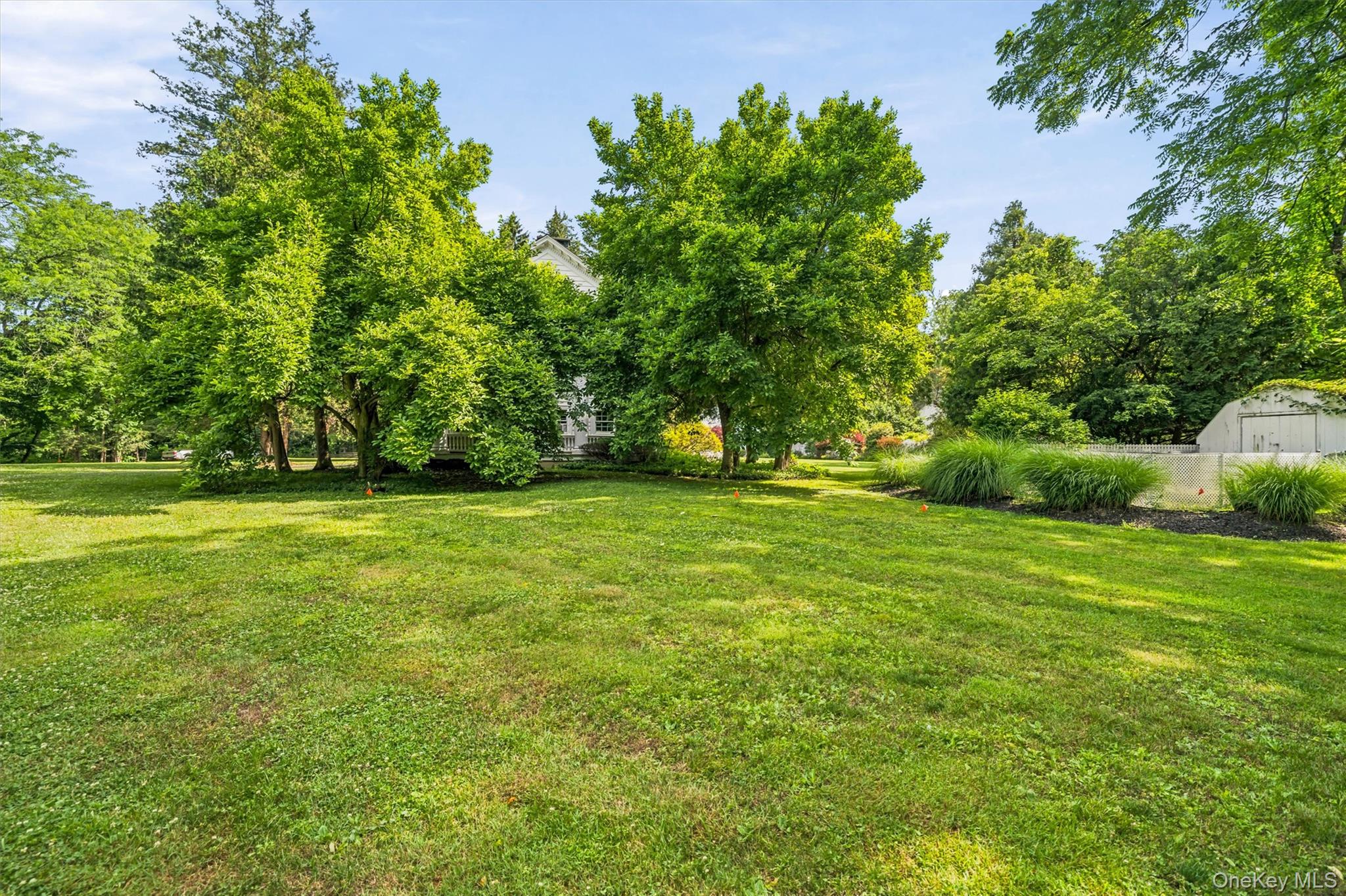 Yard