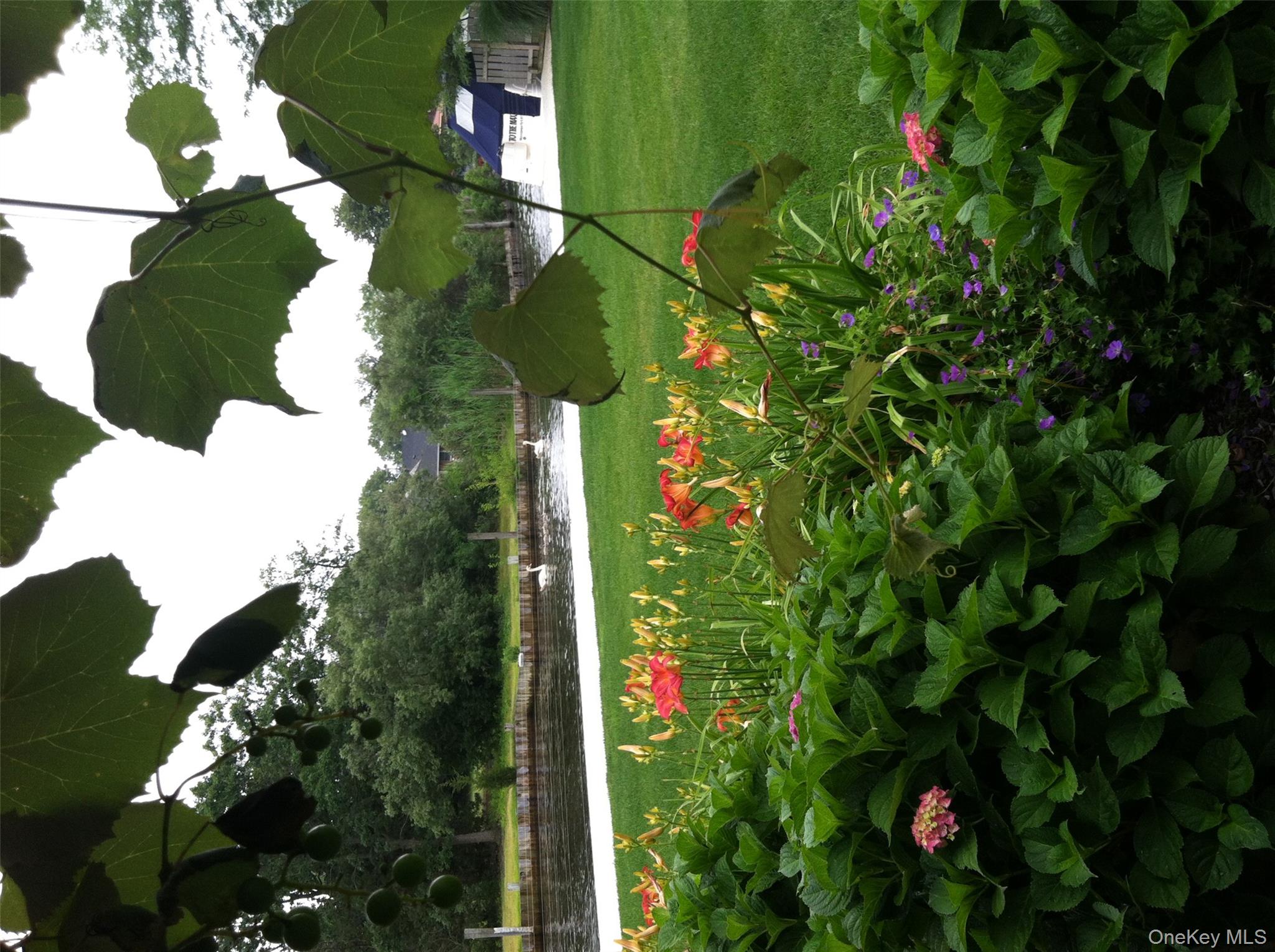 Photo 45
