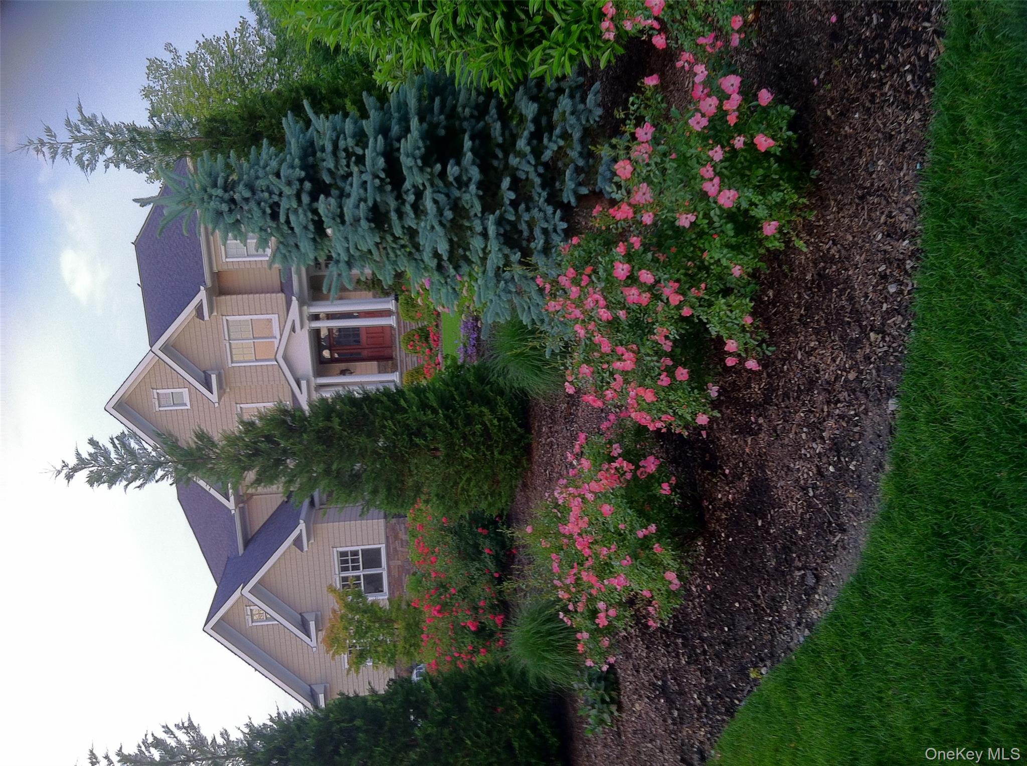 Photo 46