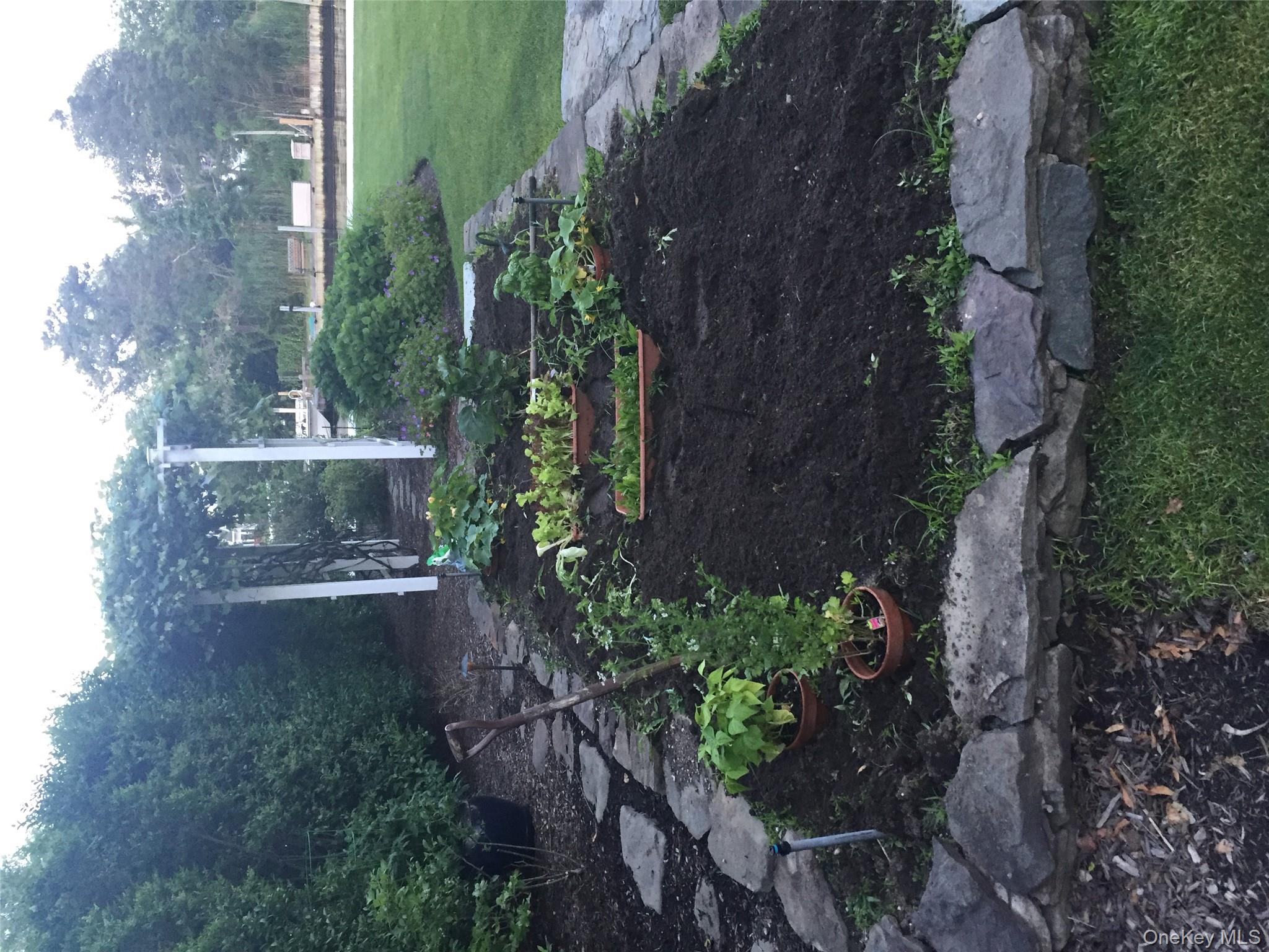 Photo 47
