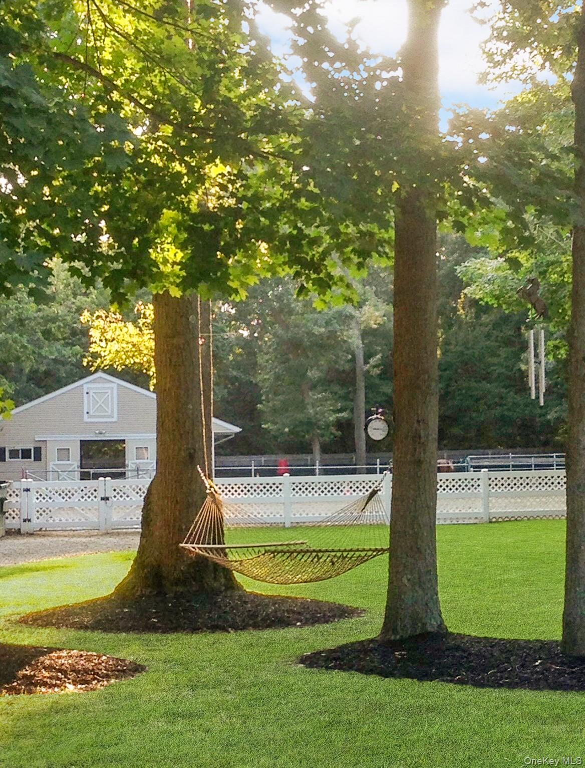 Yard