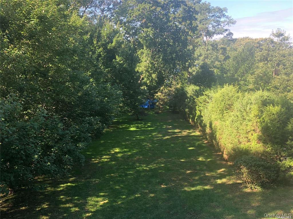 Yard
