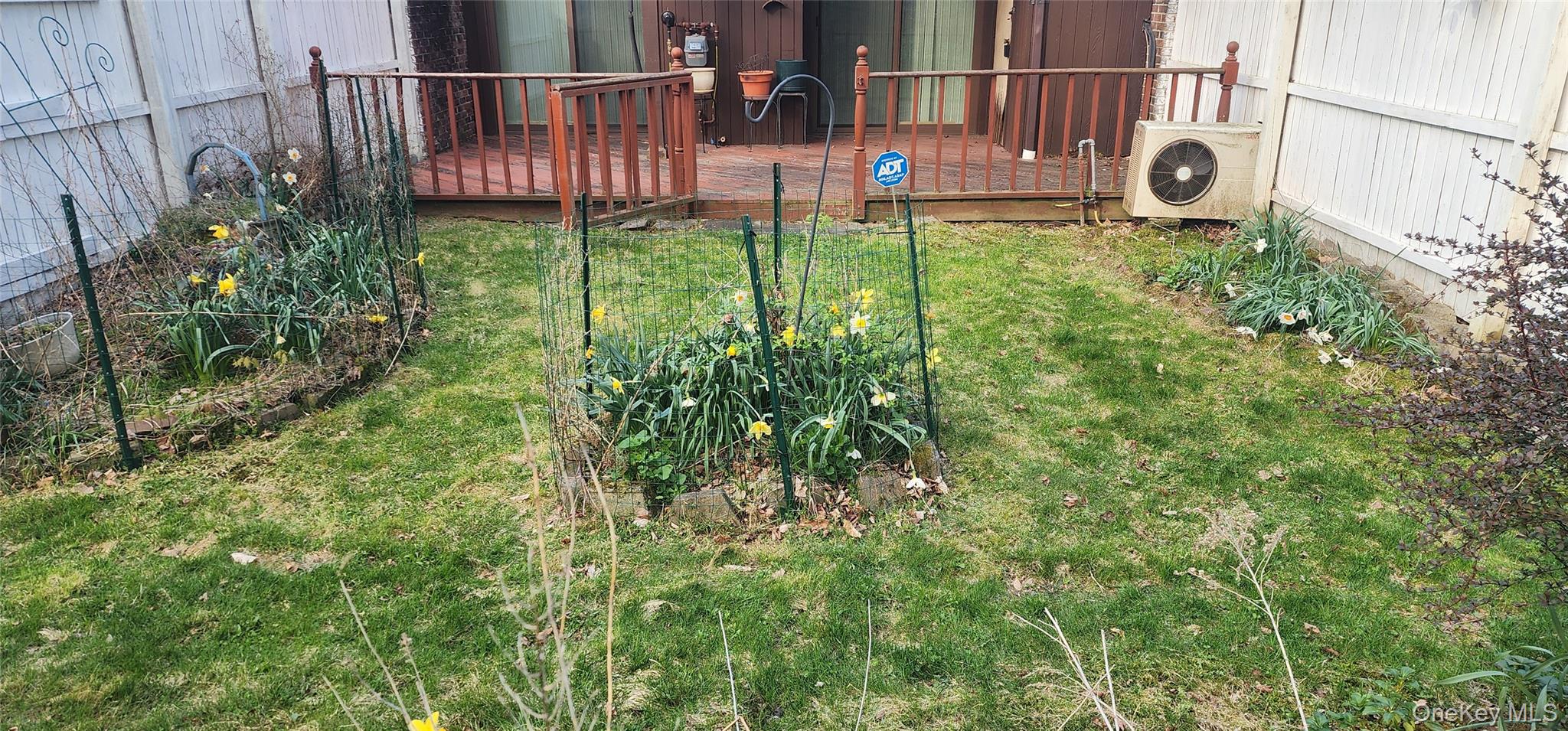 Photo 29