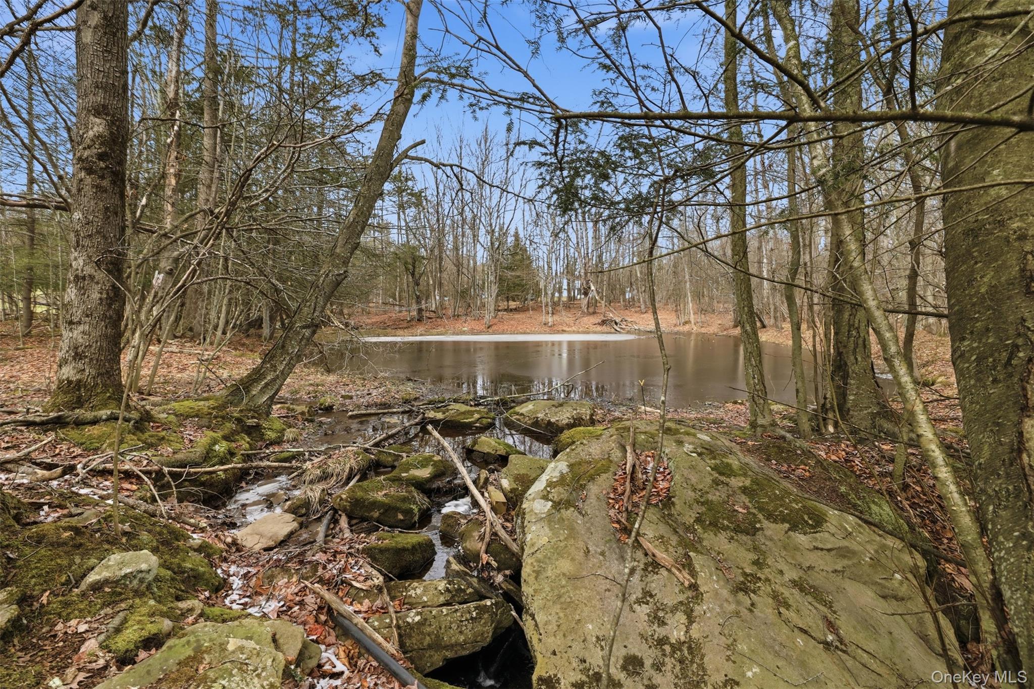 Pond