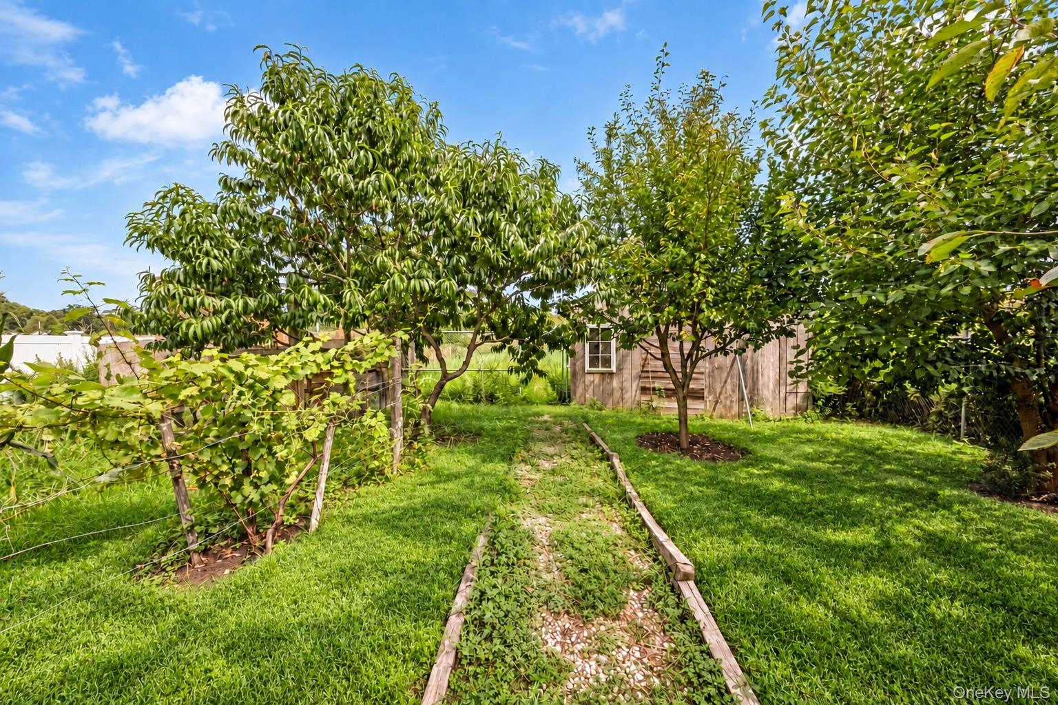 Yard