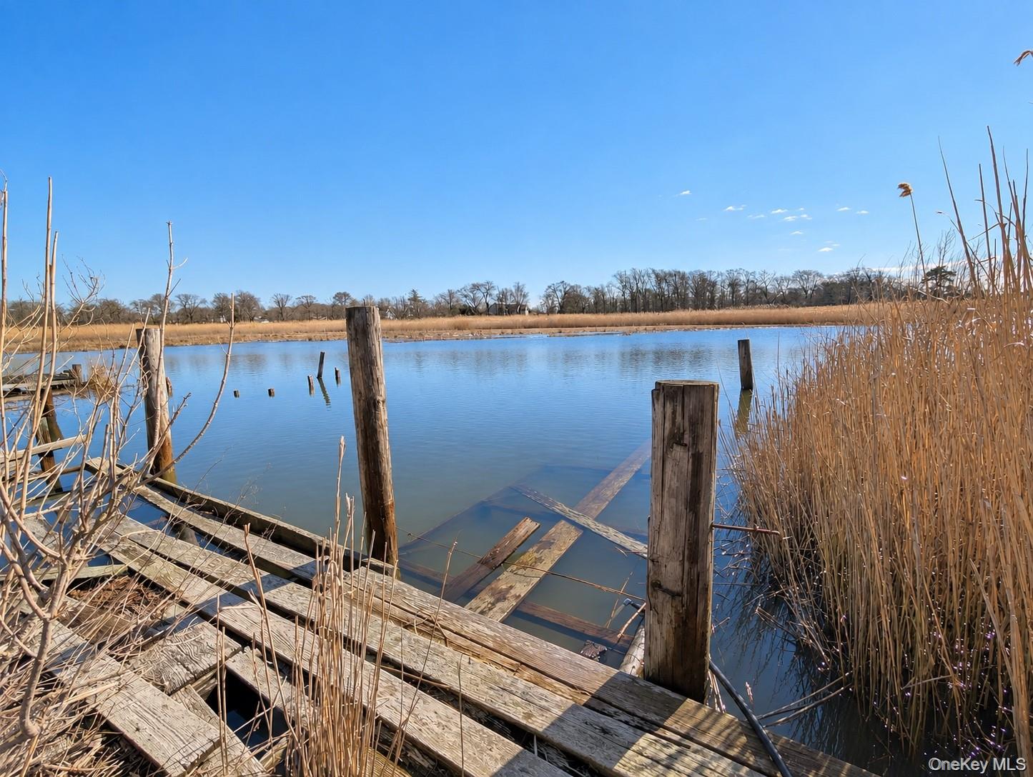 Dock