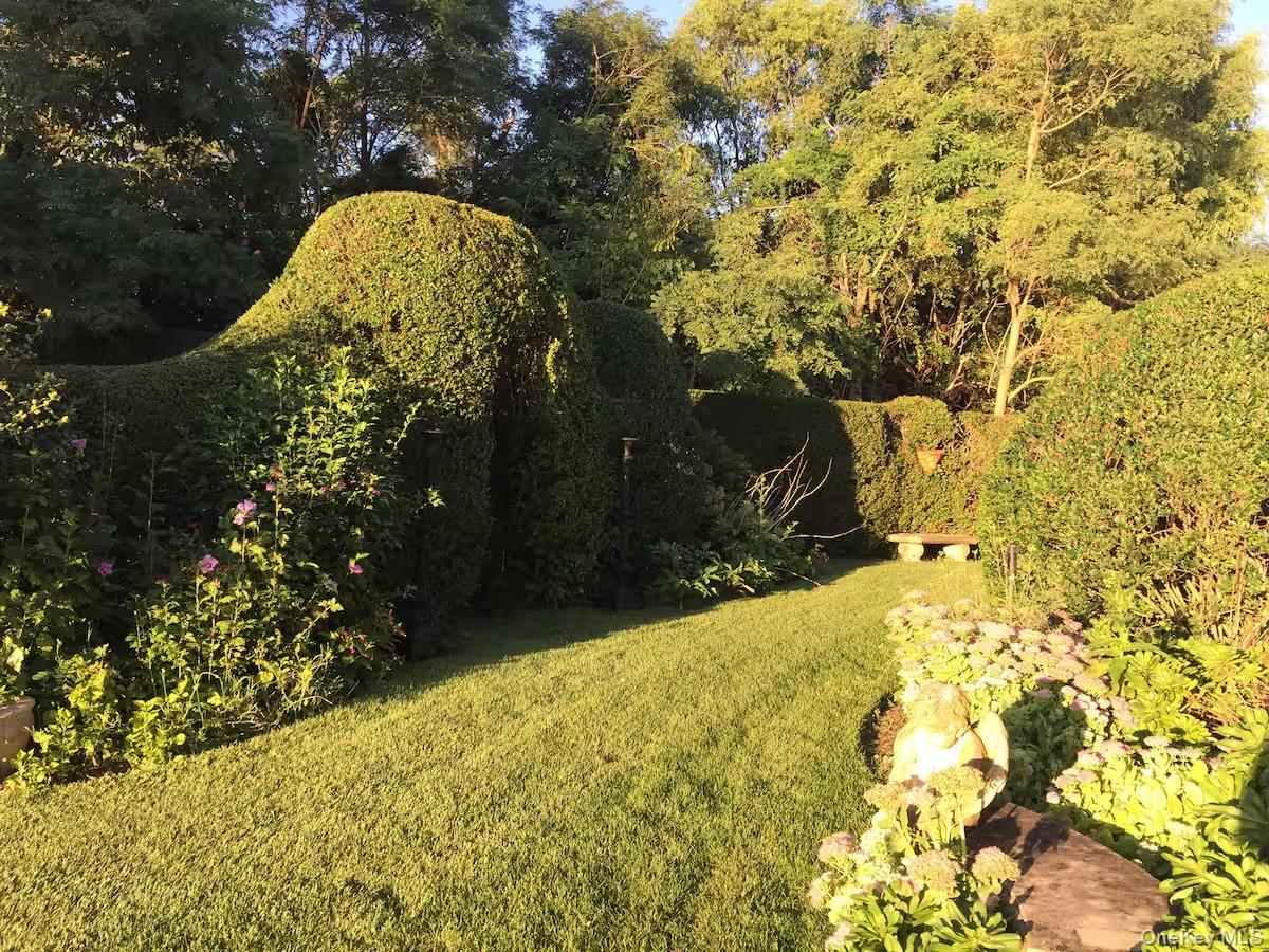 Yard