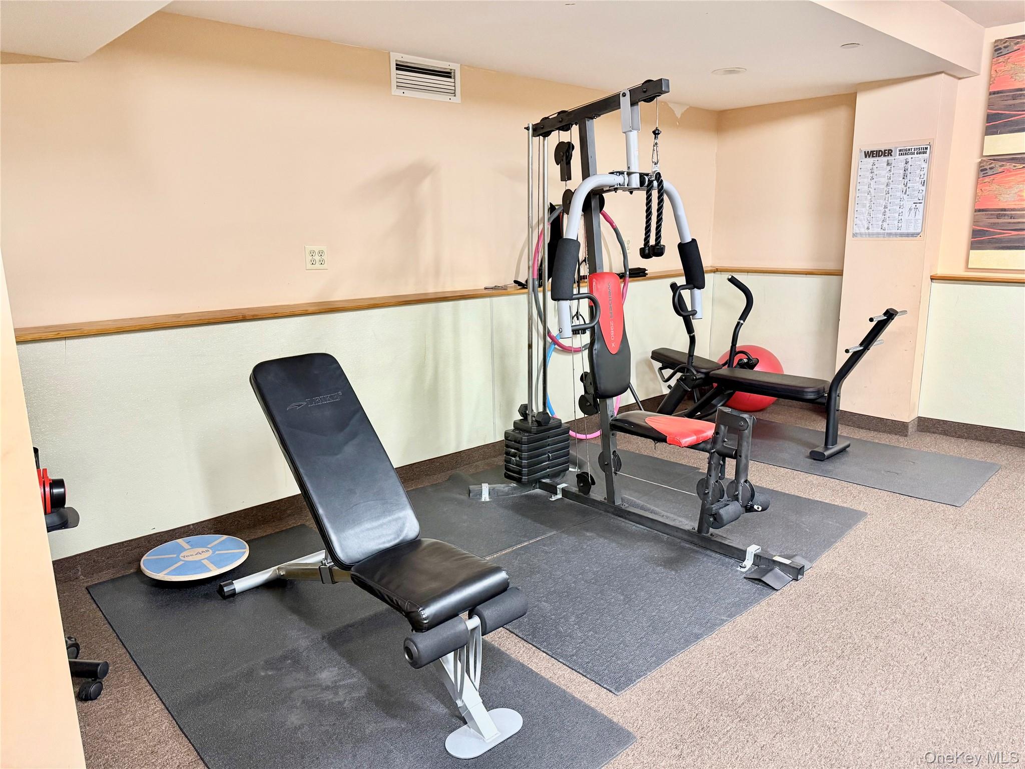 Gym