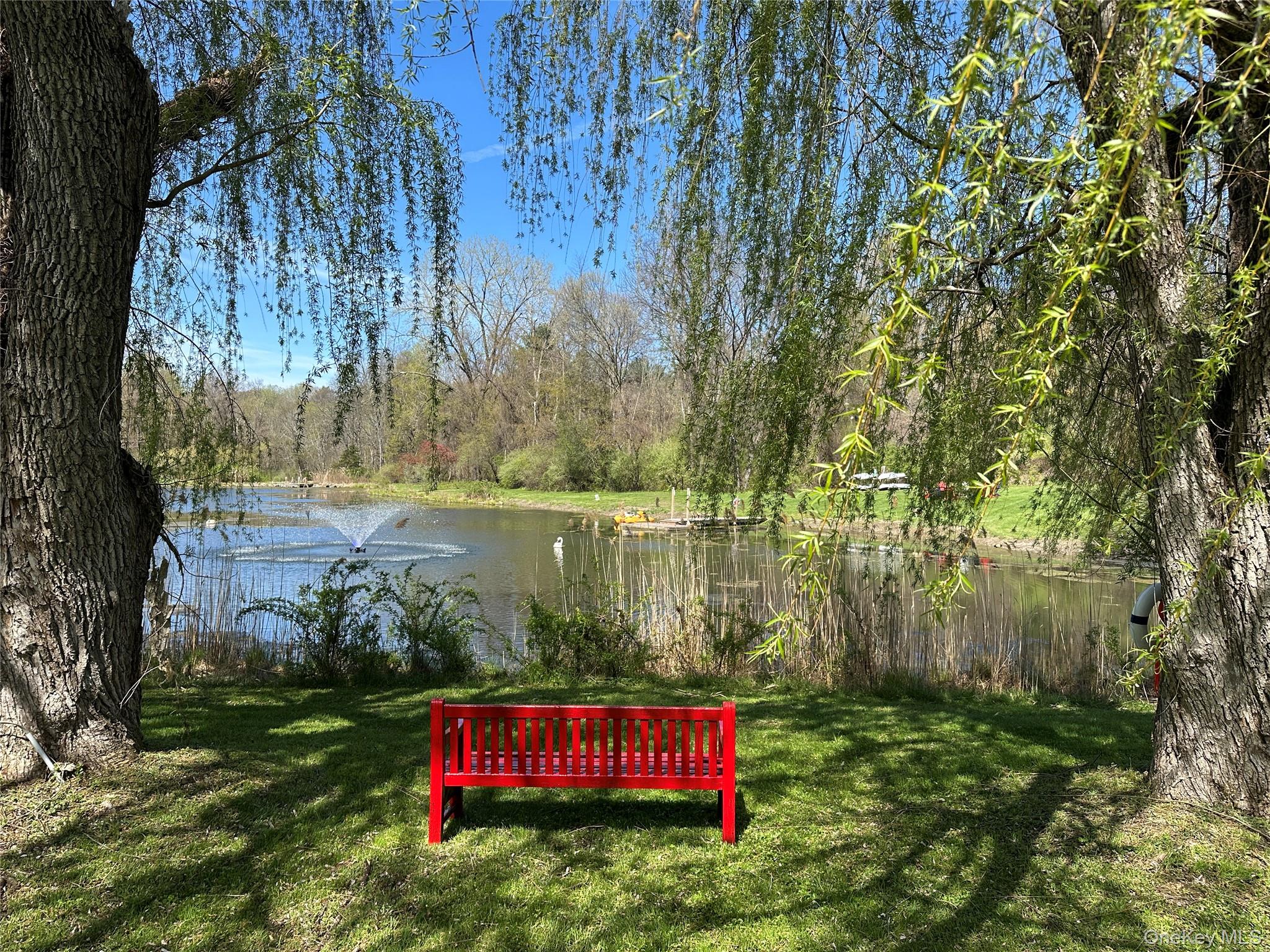 Pond