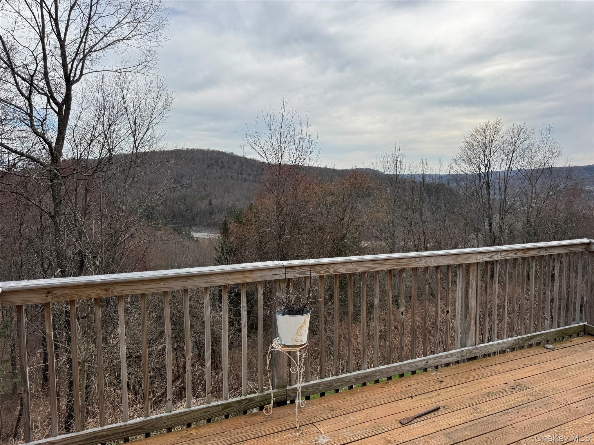 View