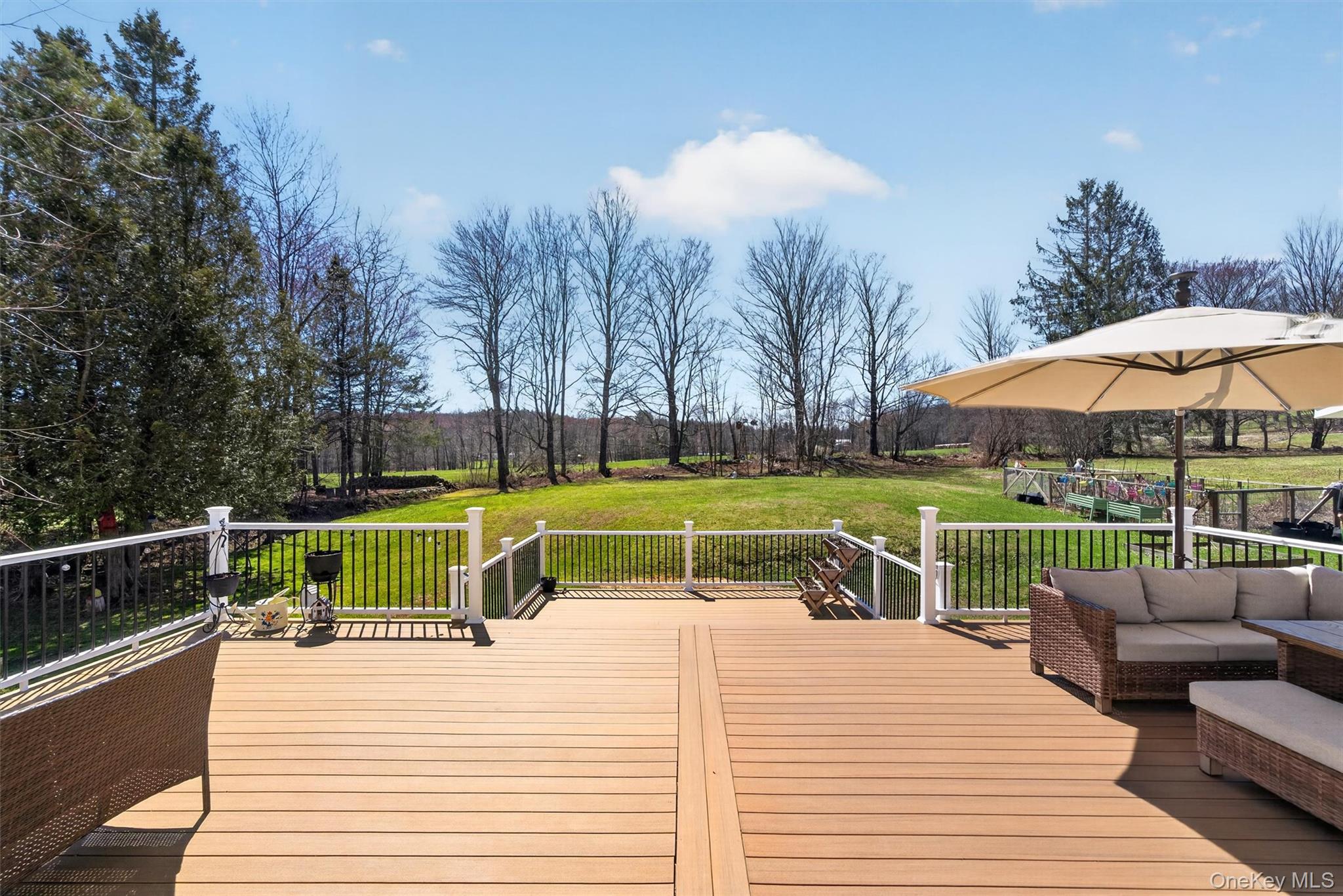 Photo 31