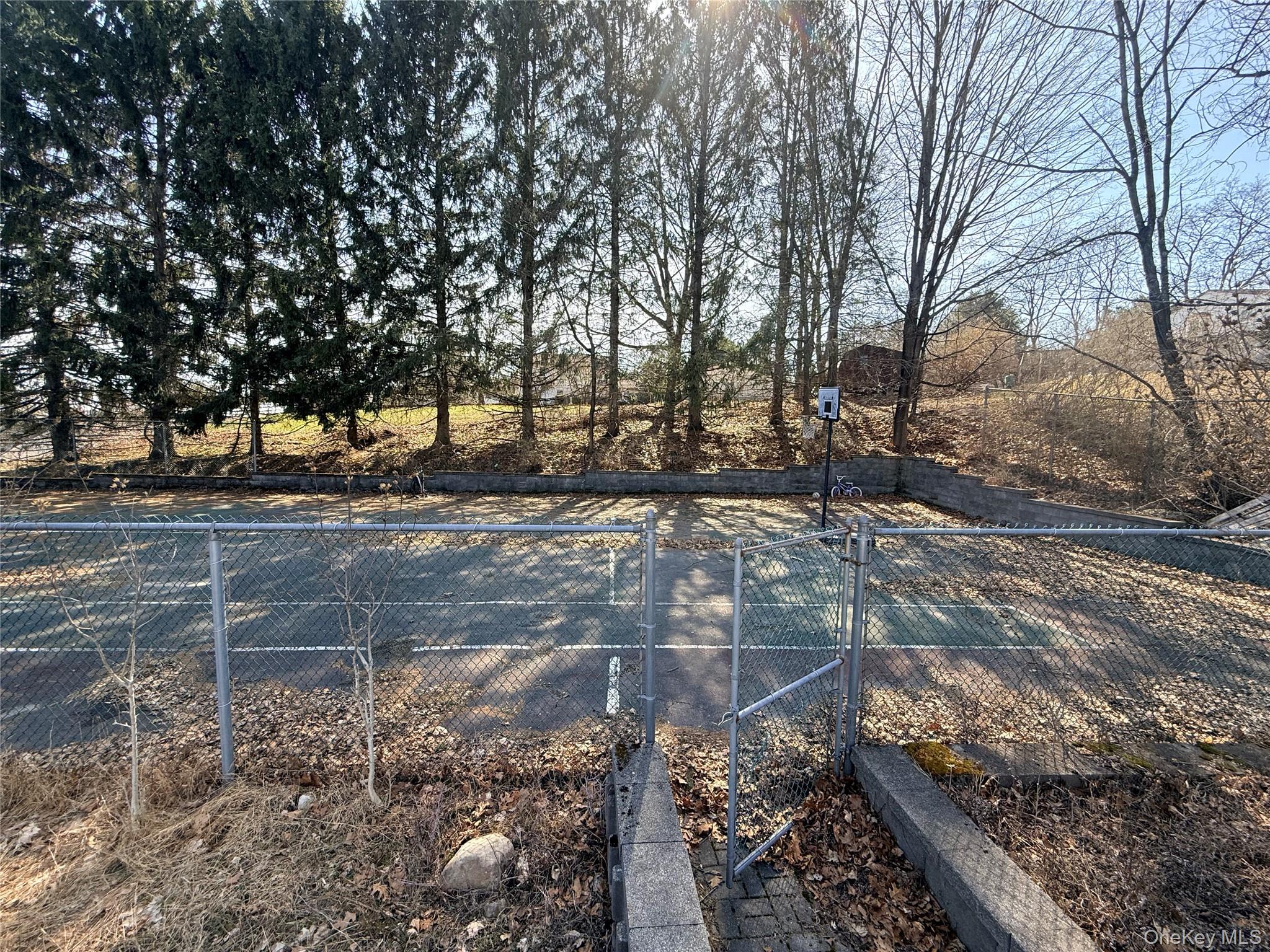 Basketball Court