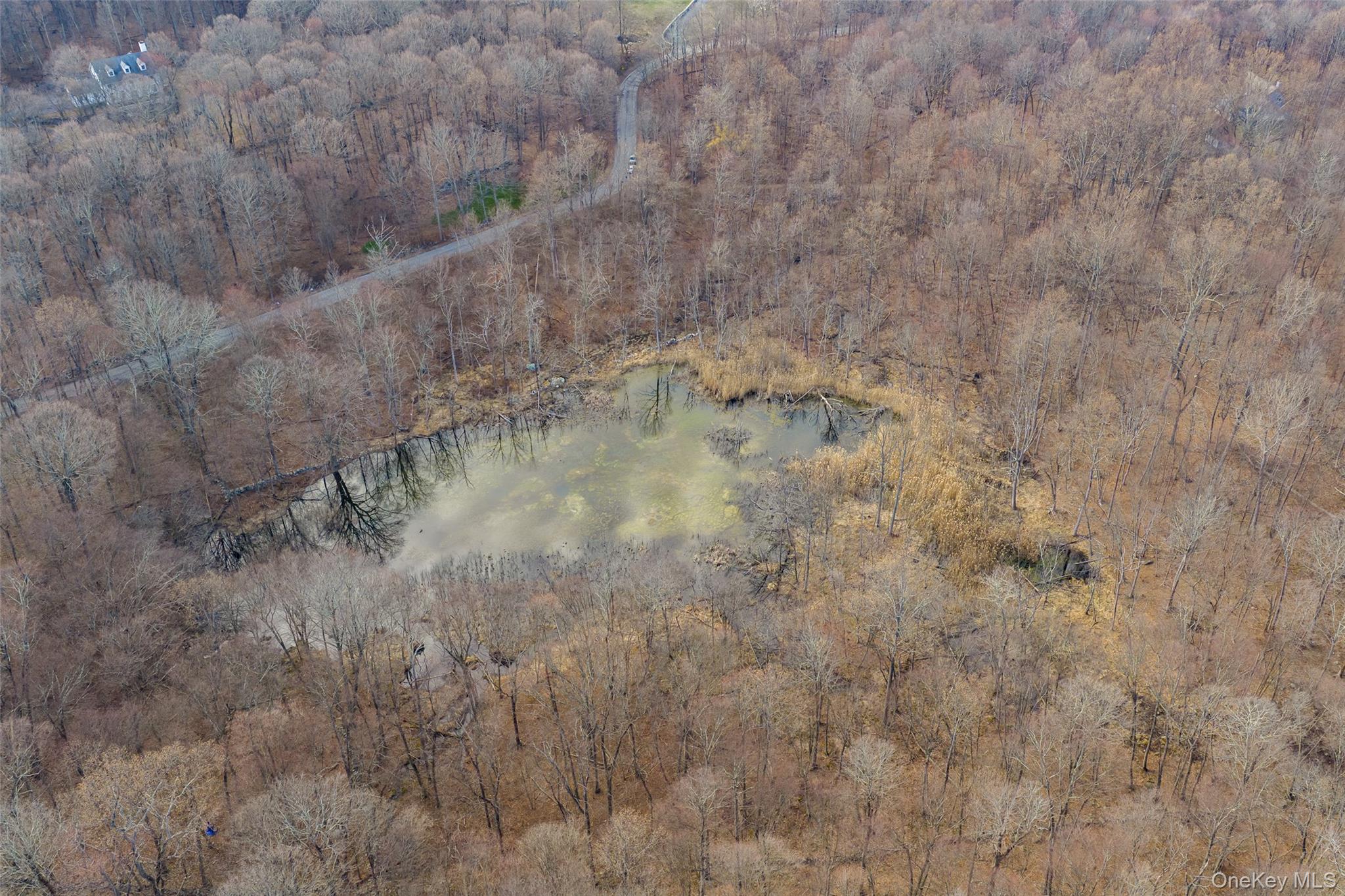 Pond