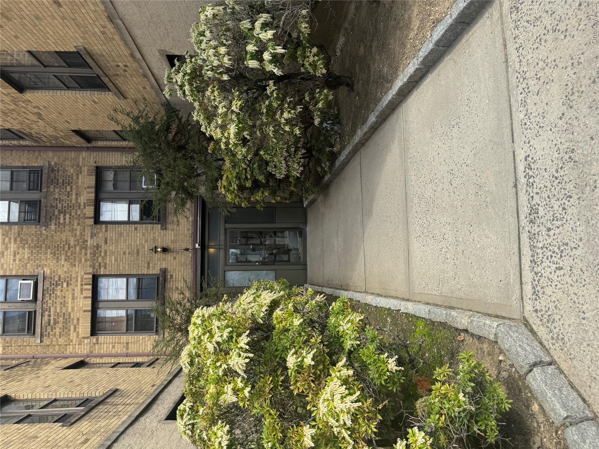 33 Douglas Avenue