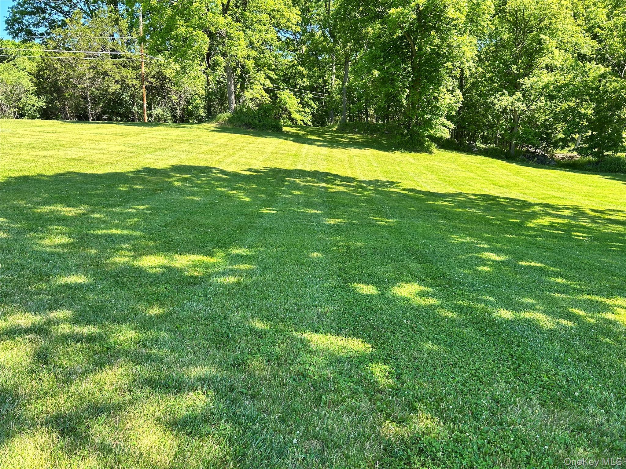 Yard