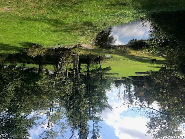 Pond