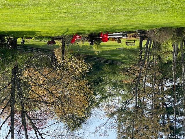 Pond