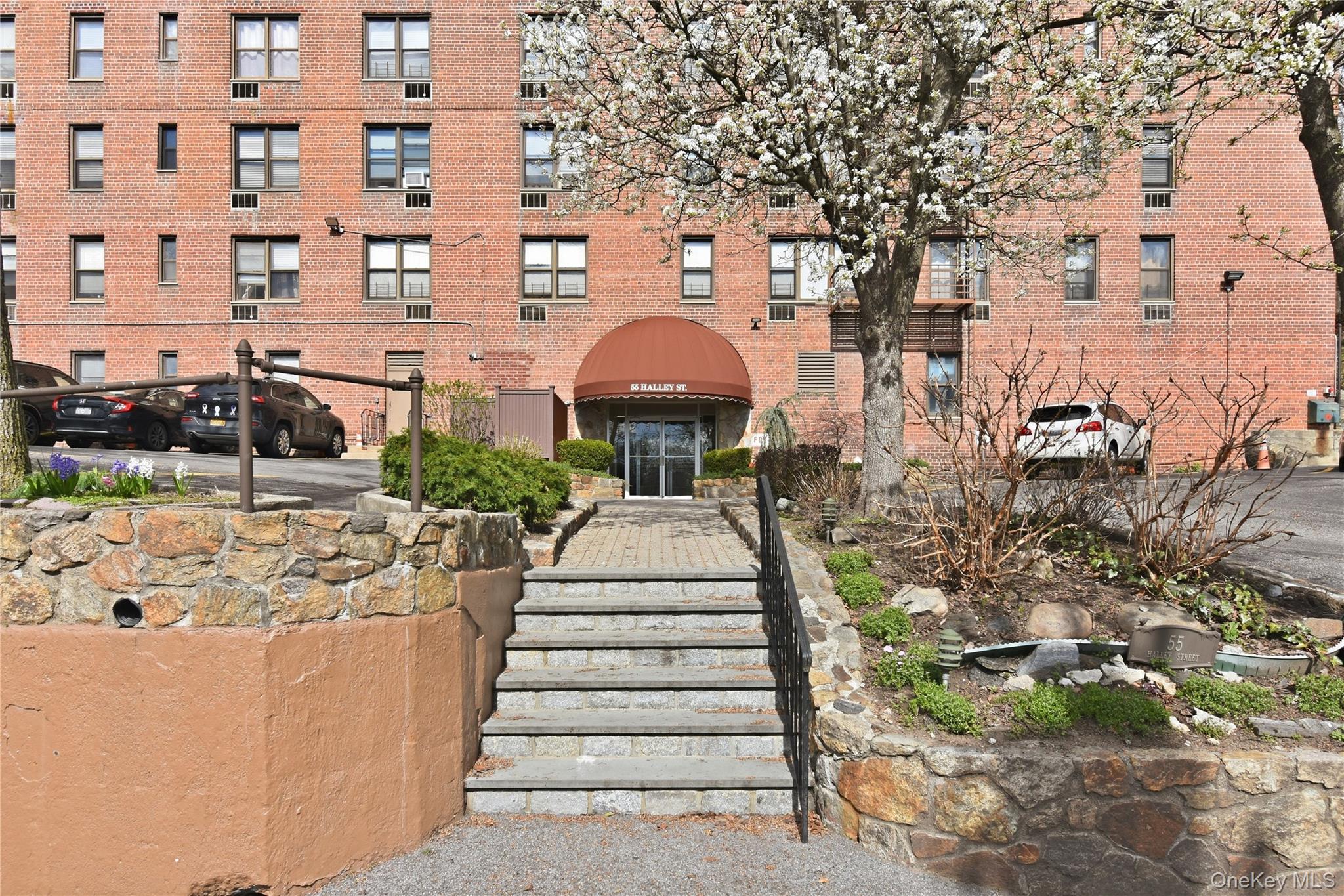55 Halley Street