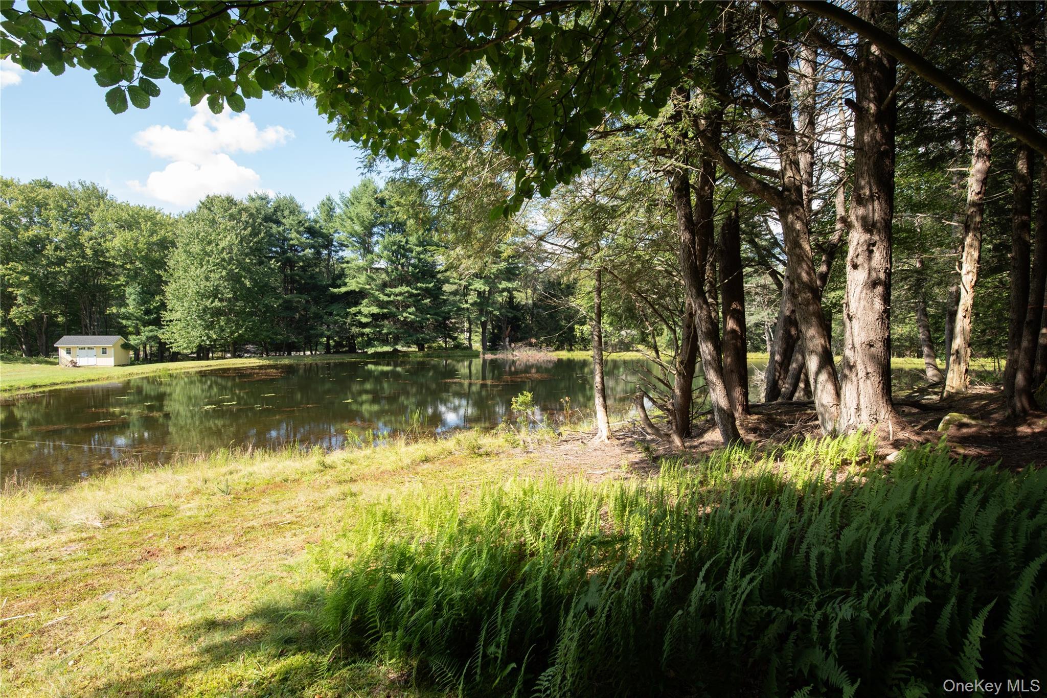 Photo 44