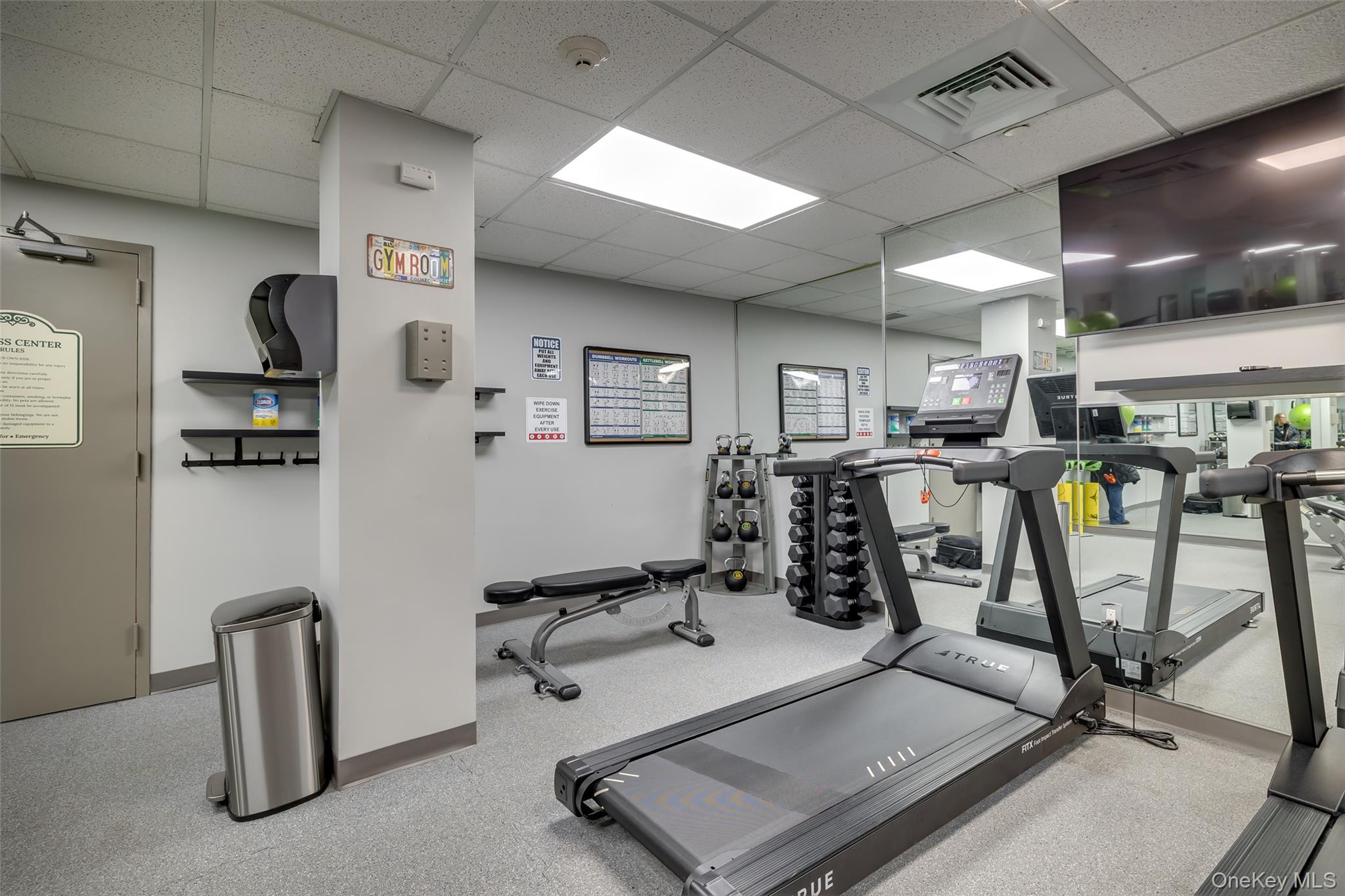 Gym