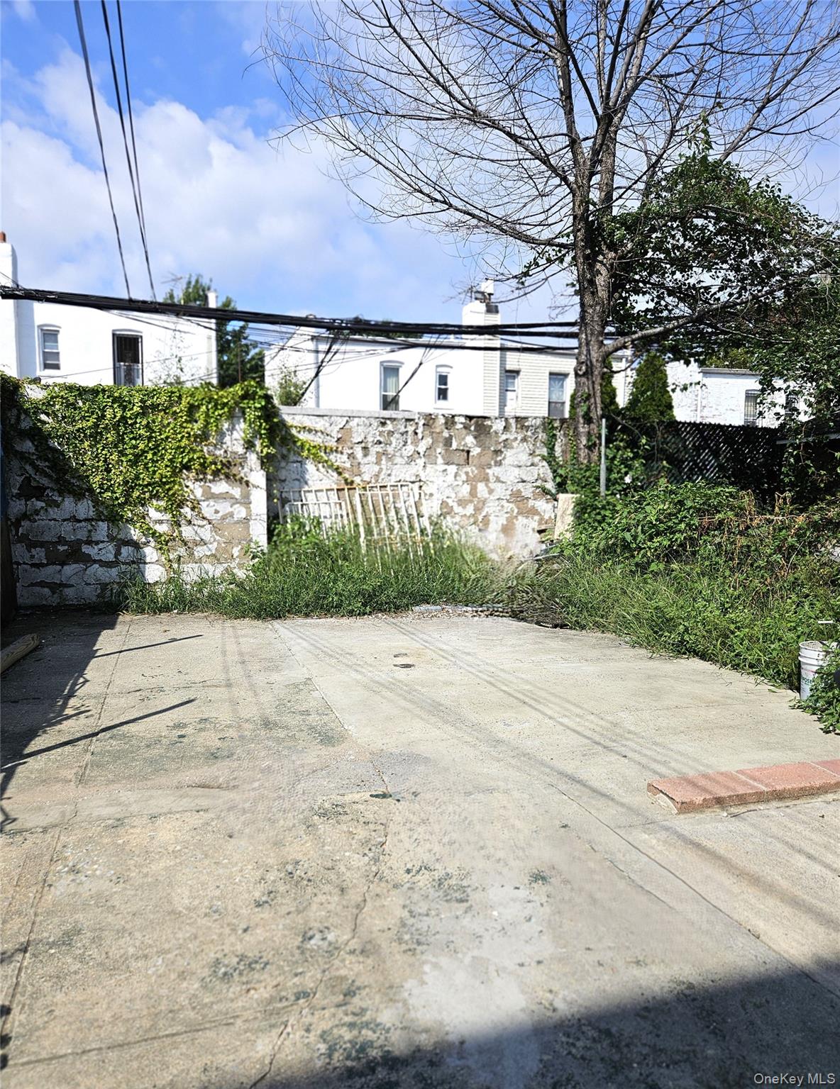 Photo 46