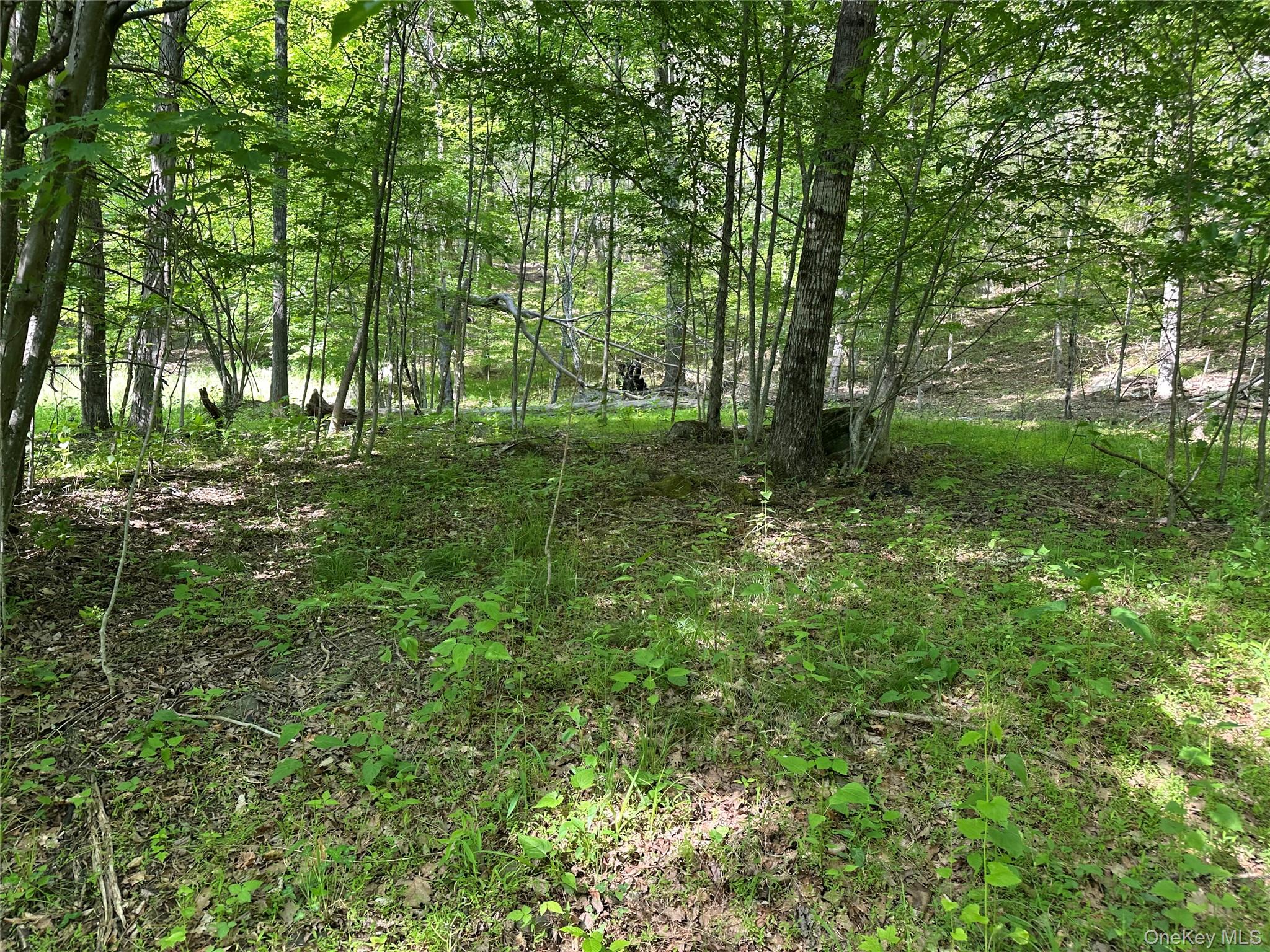 Photo 31