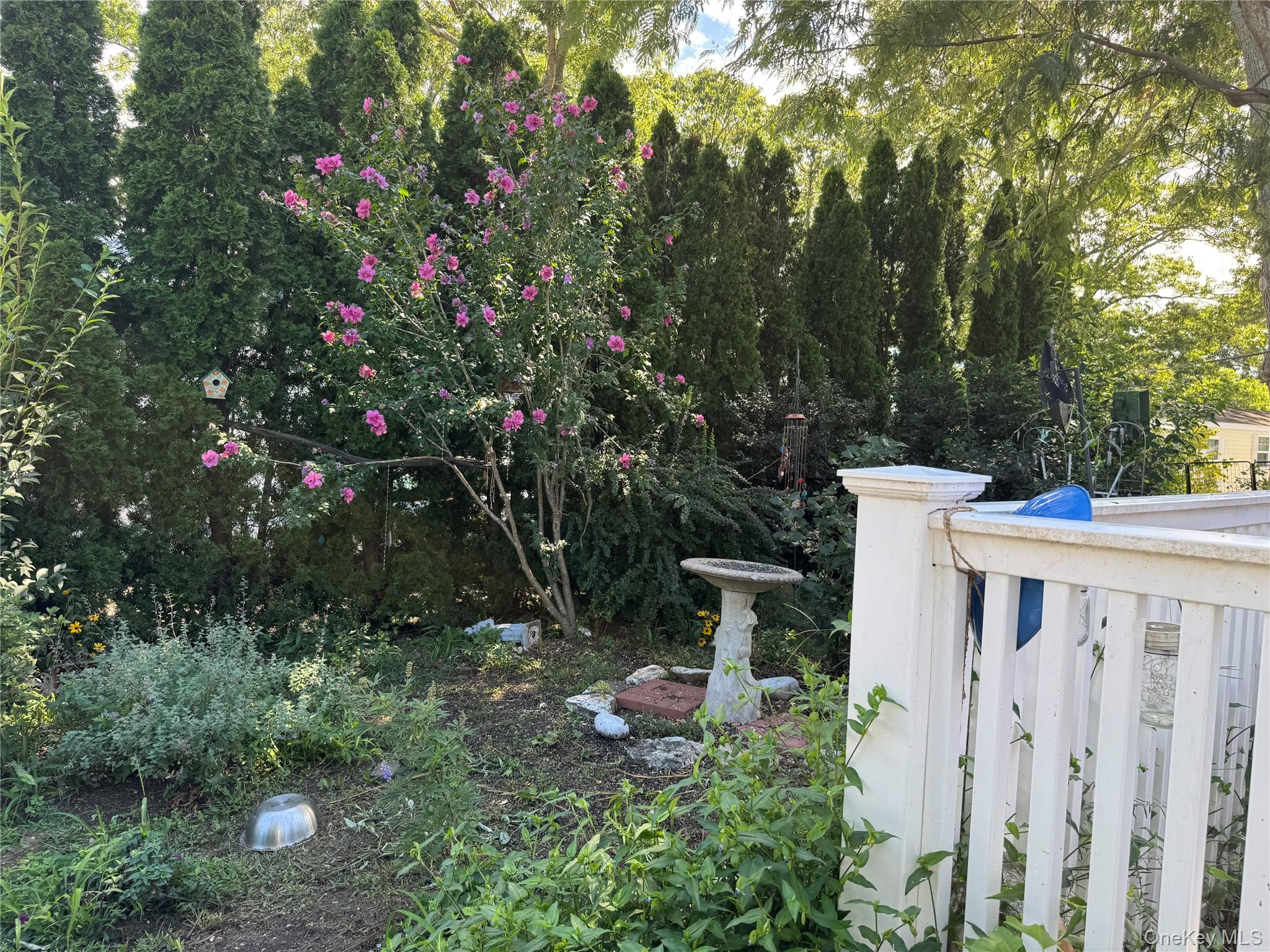 Yard